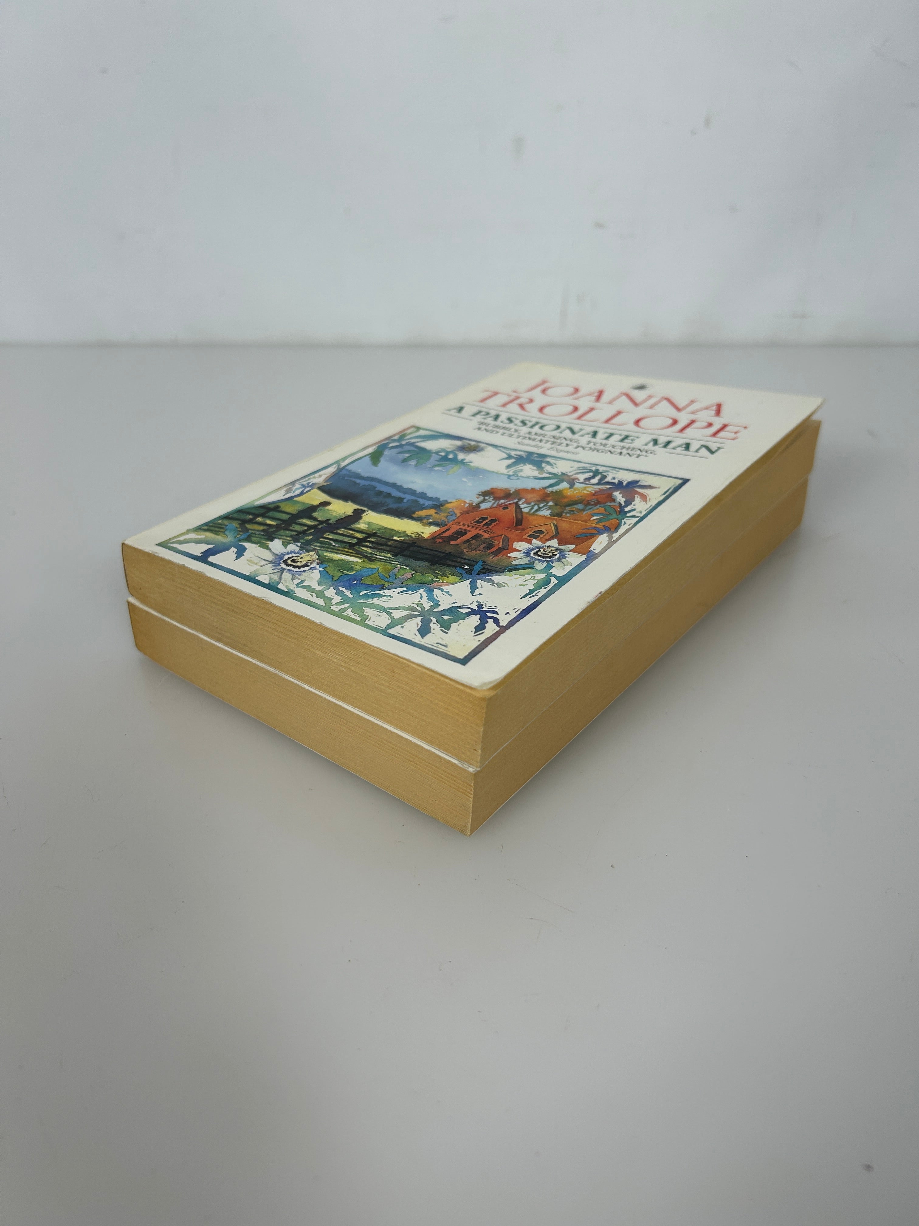 Lot of 2 Joanna Trollope UK Ed A Village Affair/A Passionate Man SC