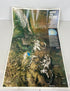 Lot of 2 Nat Geo North American Mountain Range Maps 1991-1995
