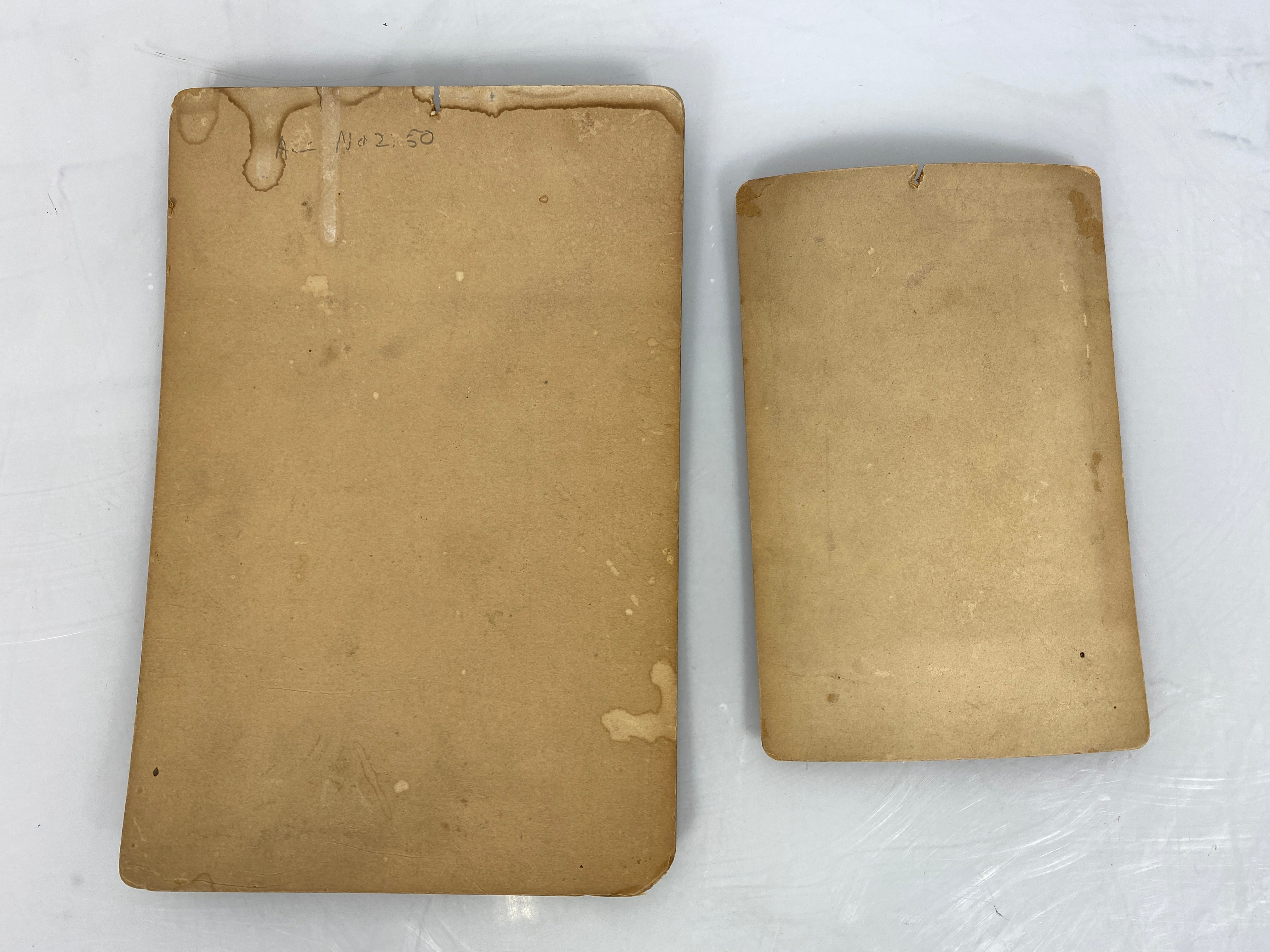 Lot of 2 Newsboy Tobacco Cabinet Cards Fannie Davenport