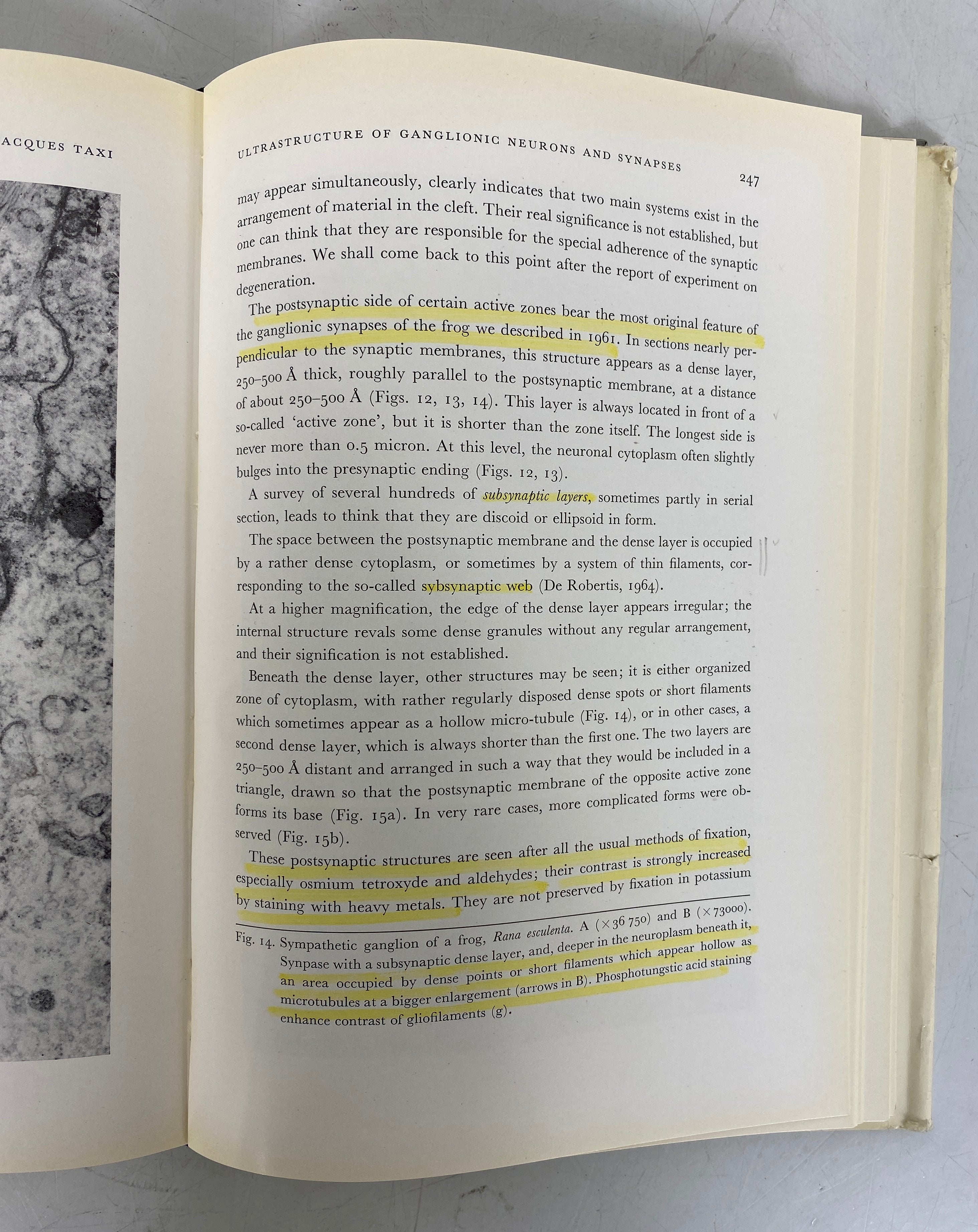 Lot of 2: The Neuron/Applied Neurochemistry 1967-1968 HC
