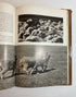 Lot of 2: The Treasury of Dogs/The Treasury of Cats 1964-72 Vintage HC