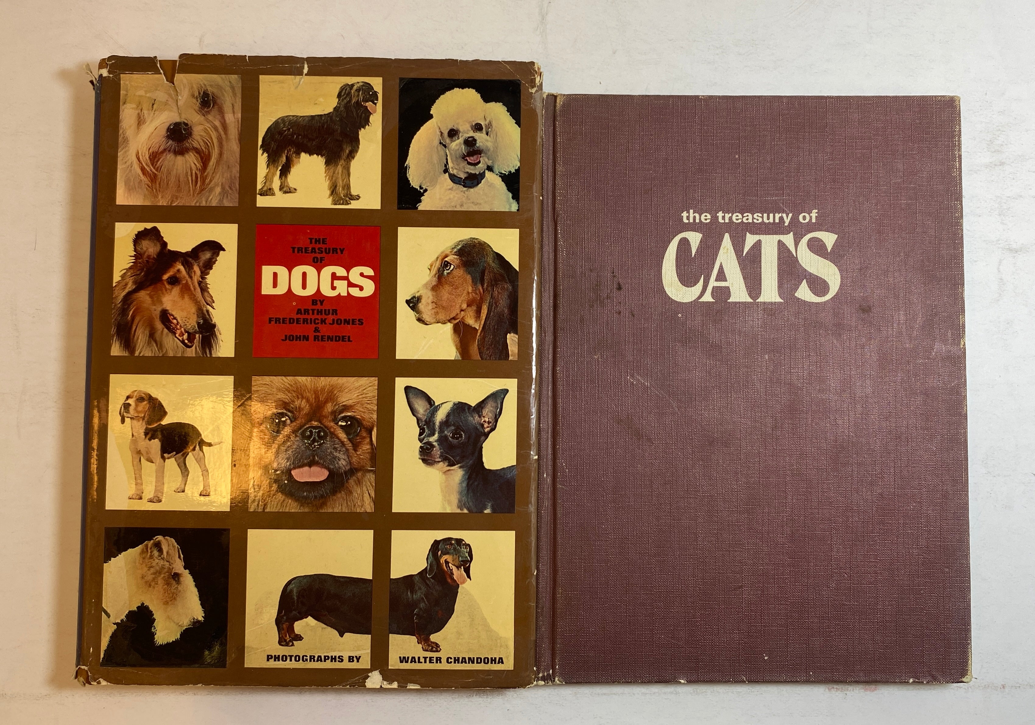 Lot of 2: The Treasury of Dogs/The Treasury of Cats 1964-72 Vintage HC