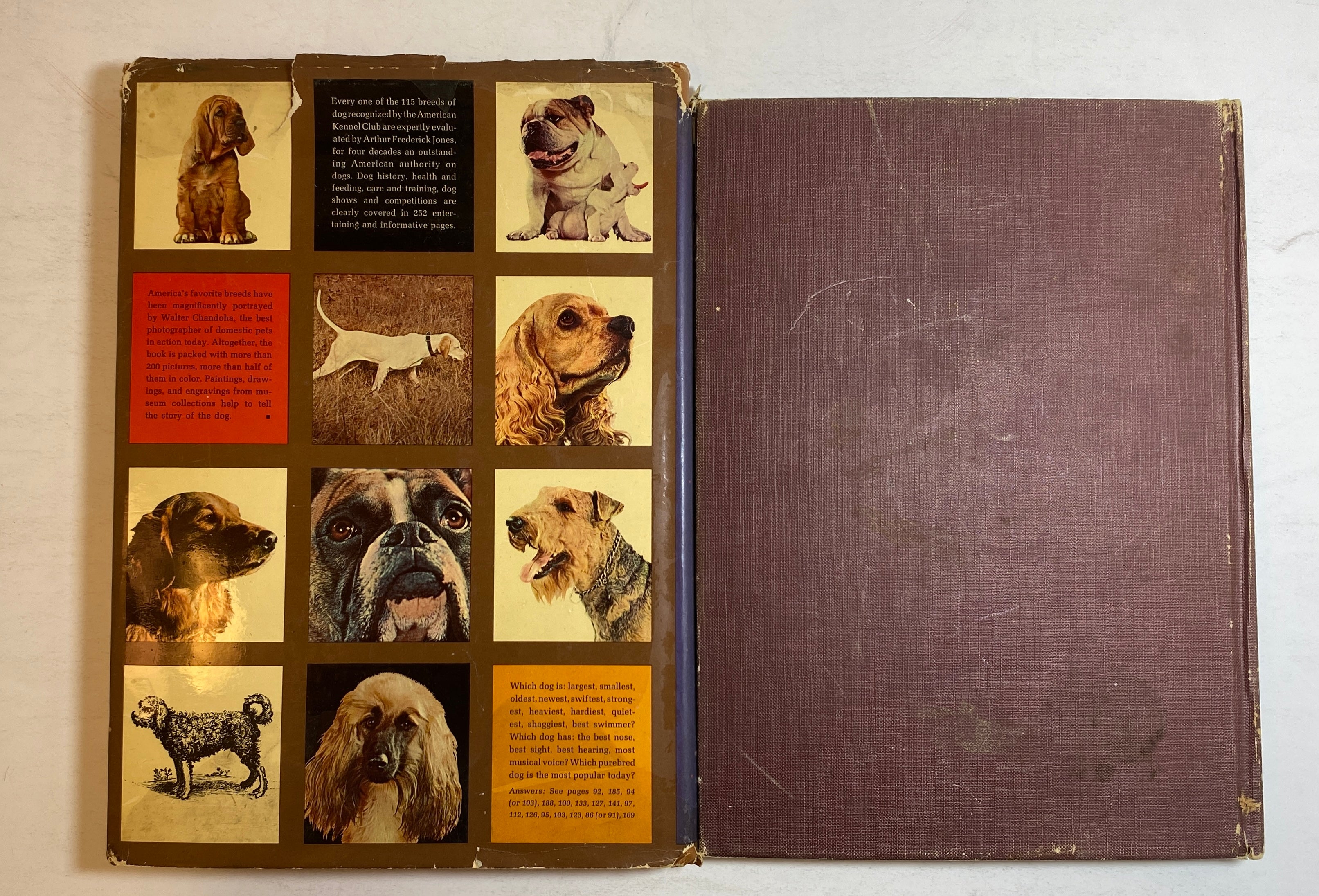 Lot of 2: The Treasury of Dogs/The Treasury of Cats 1964-72 Vintage HC