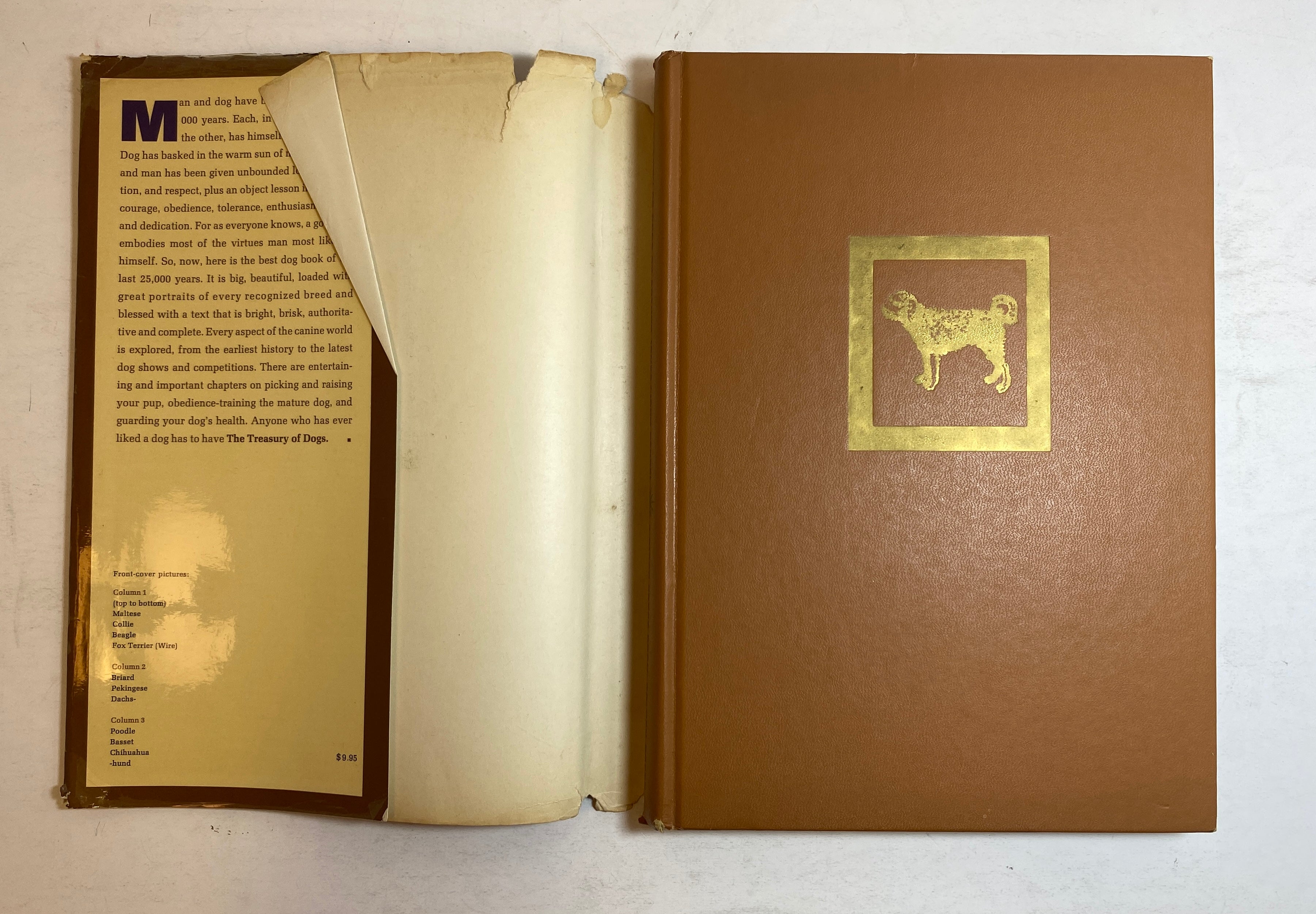 Lot of 2: The Treasury of Dogs/The Treasury of Cats 1964-72 Vintage HC