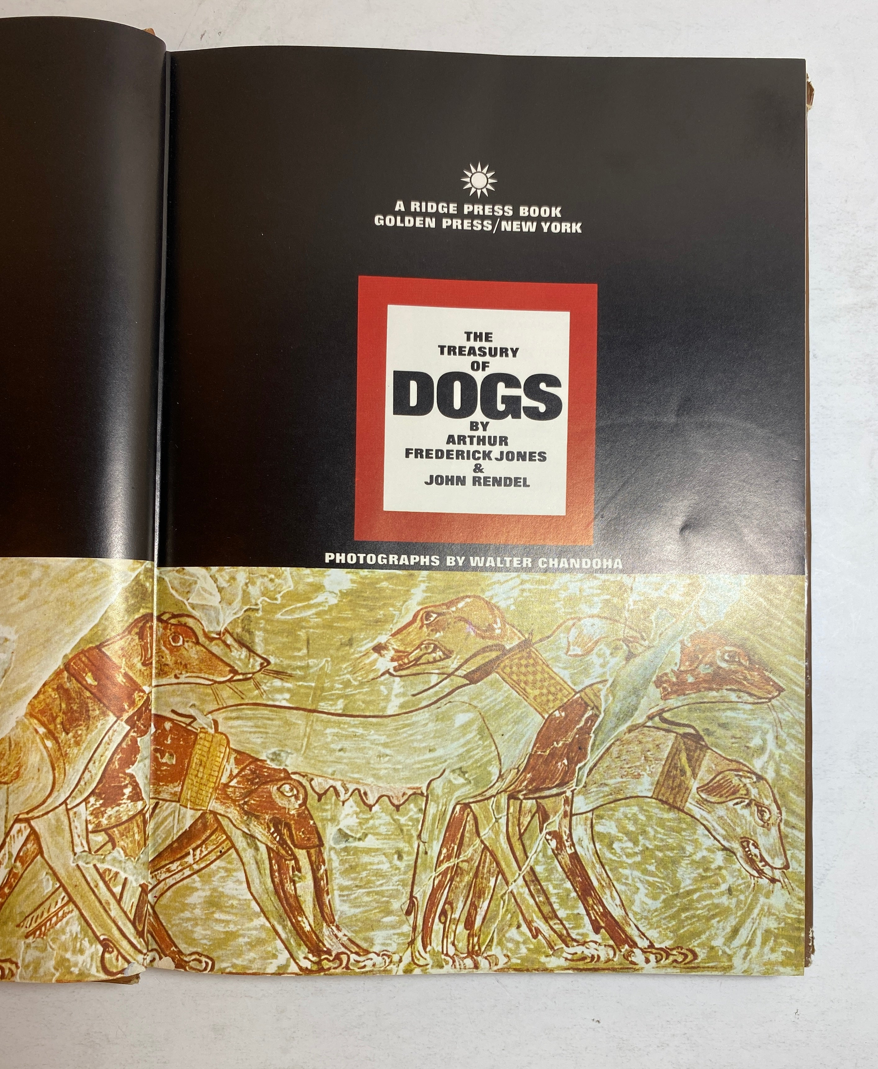 Lot of 2: The Treasury of Dogs/The Treasury of Cats 1964-72 Vintage HC