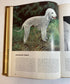 Lot of 2: The Treasury of Dogs/The Treasury of Cats 1964-72 Vintage HC