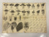 Lot of 2 Vintage 1910s Hat advertisement posters