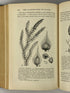 Lot of 2 Vintage General Biology Textbooks 1931-1945 HC
