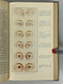 Lot of 2 Vintage General Biology Textbooks 1931-1945 HC