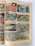 Lot of 2 Walt Disney Showcase Comics Tinkerbell 101 Dalmatians 1961-1976