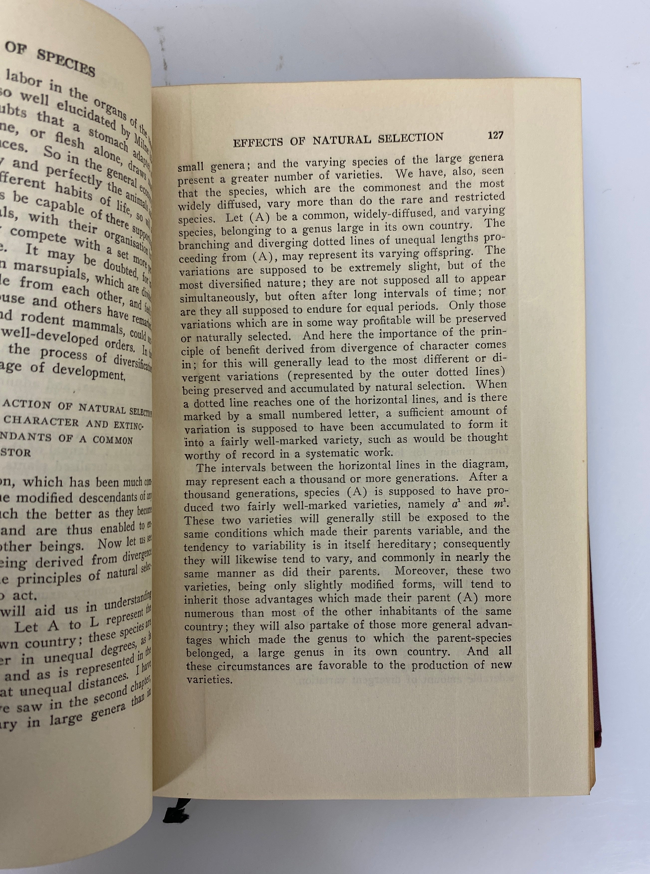 Lot of 23 Harvard Classics Five Foot Shelf of Books (7-29) 1909 Cloth HC