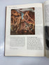 Lot of 24: The New International Illustrated Encyclopedia of Art 1967-71 HC