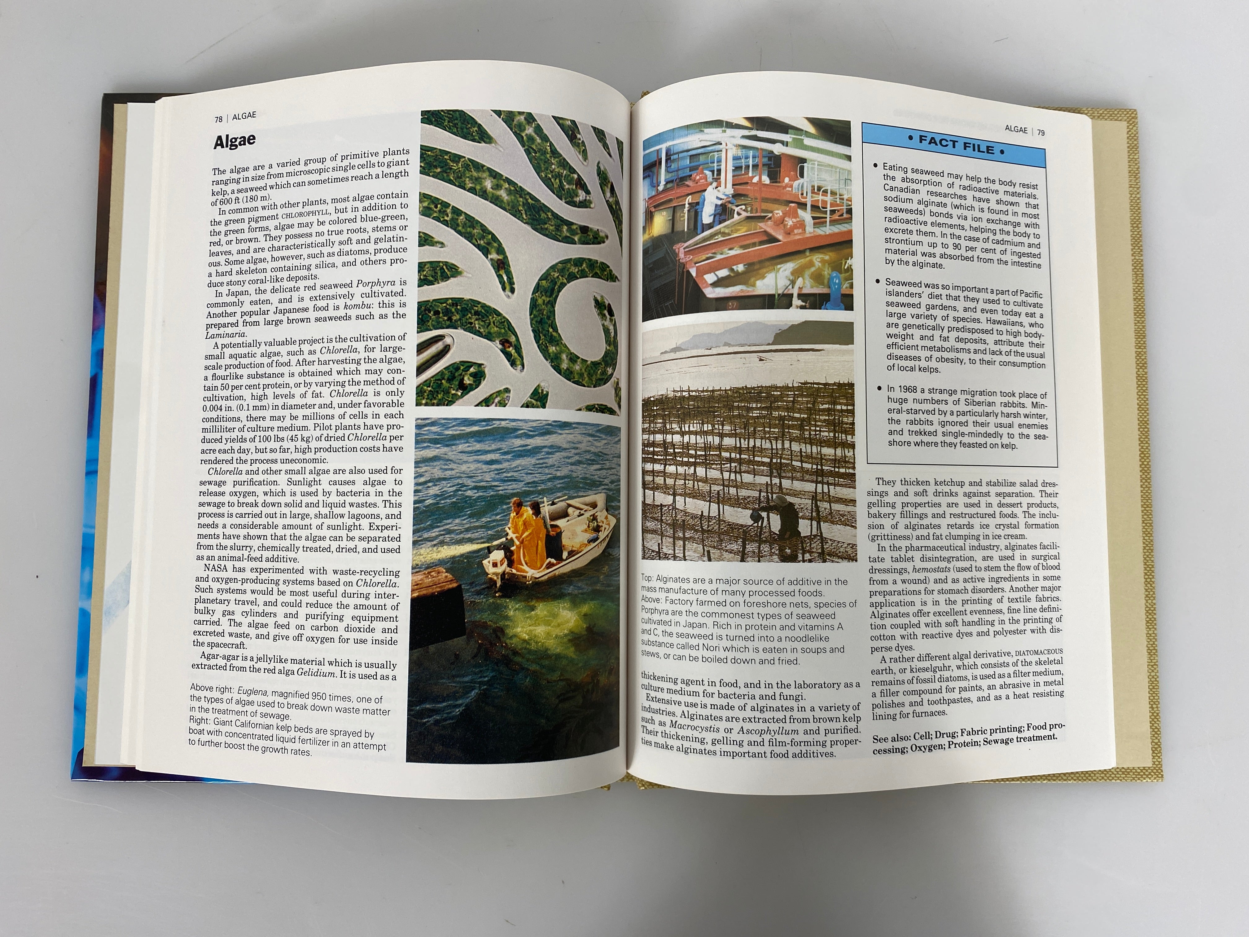 Lot of 28: The New Illustrated Science and Invention Encyclopedia 1989-93 HC