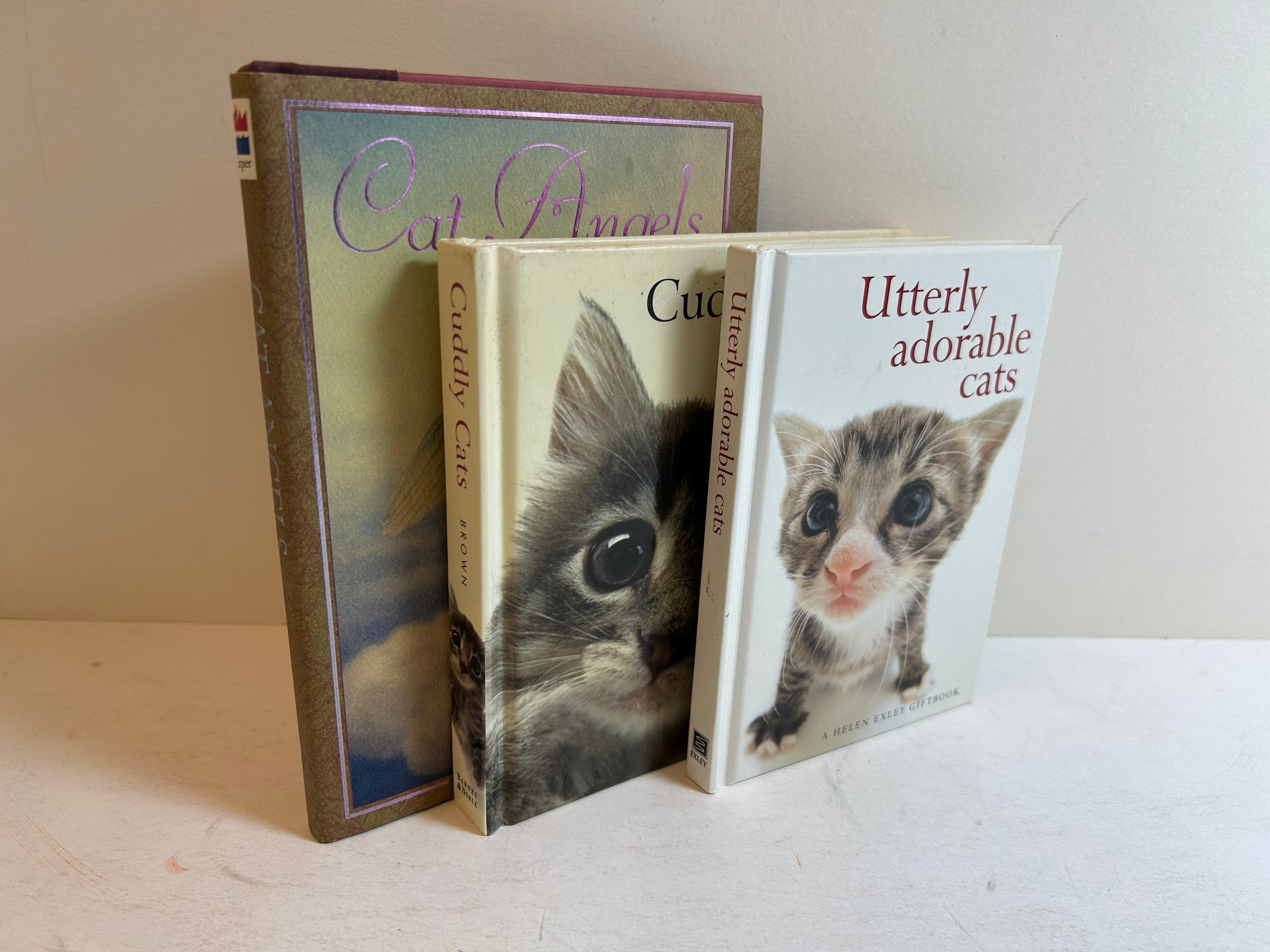 Lot of 3 Cute Cat Books