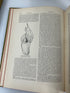Lot of 3: Cyclopedia of American Horticulture E-M, N-Q, R-Z Bailey HC 1910