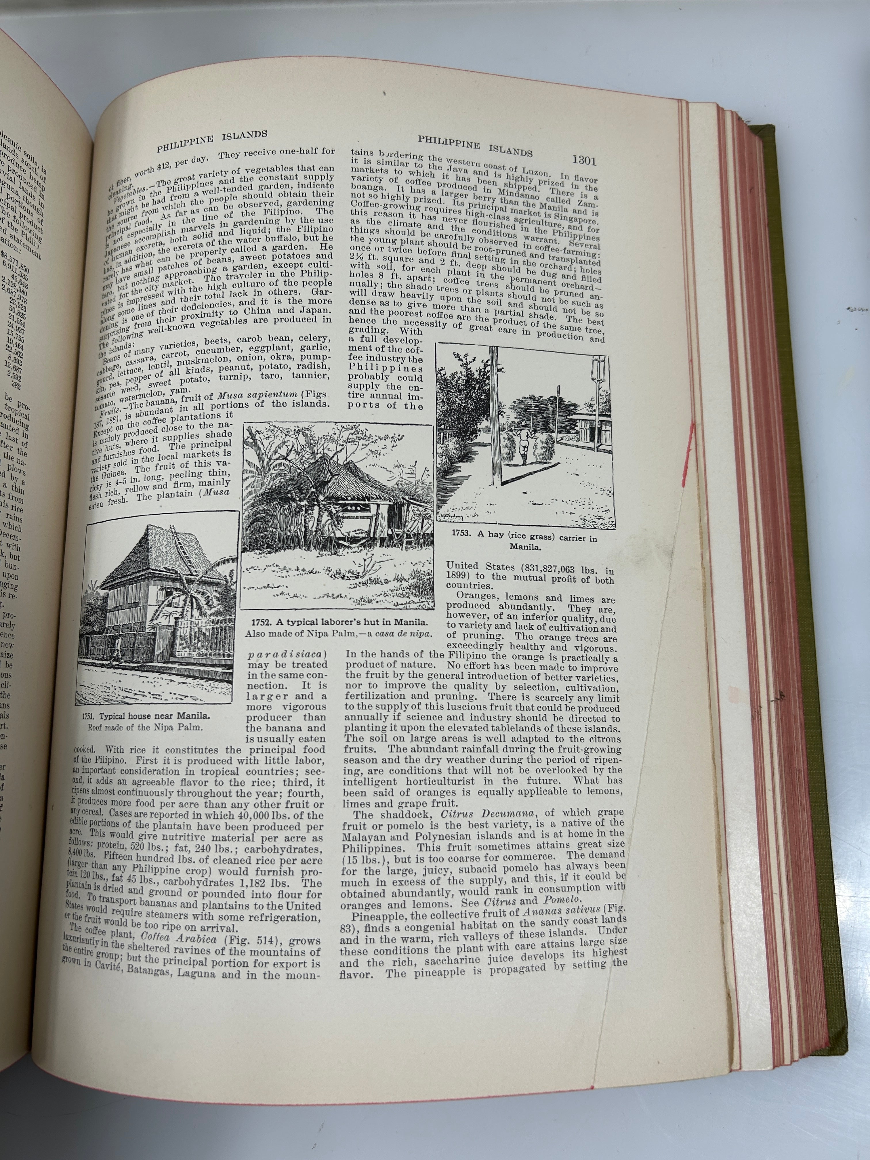 Lot of 3: Cyclopedia of American Horticulture E-M, N-Q, R-Z Bailey HC 1910