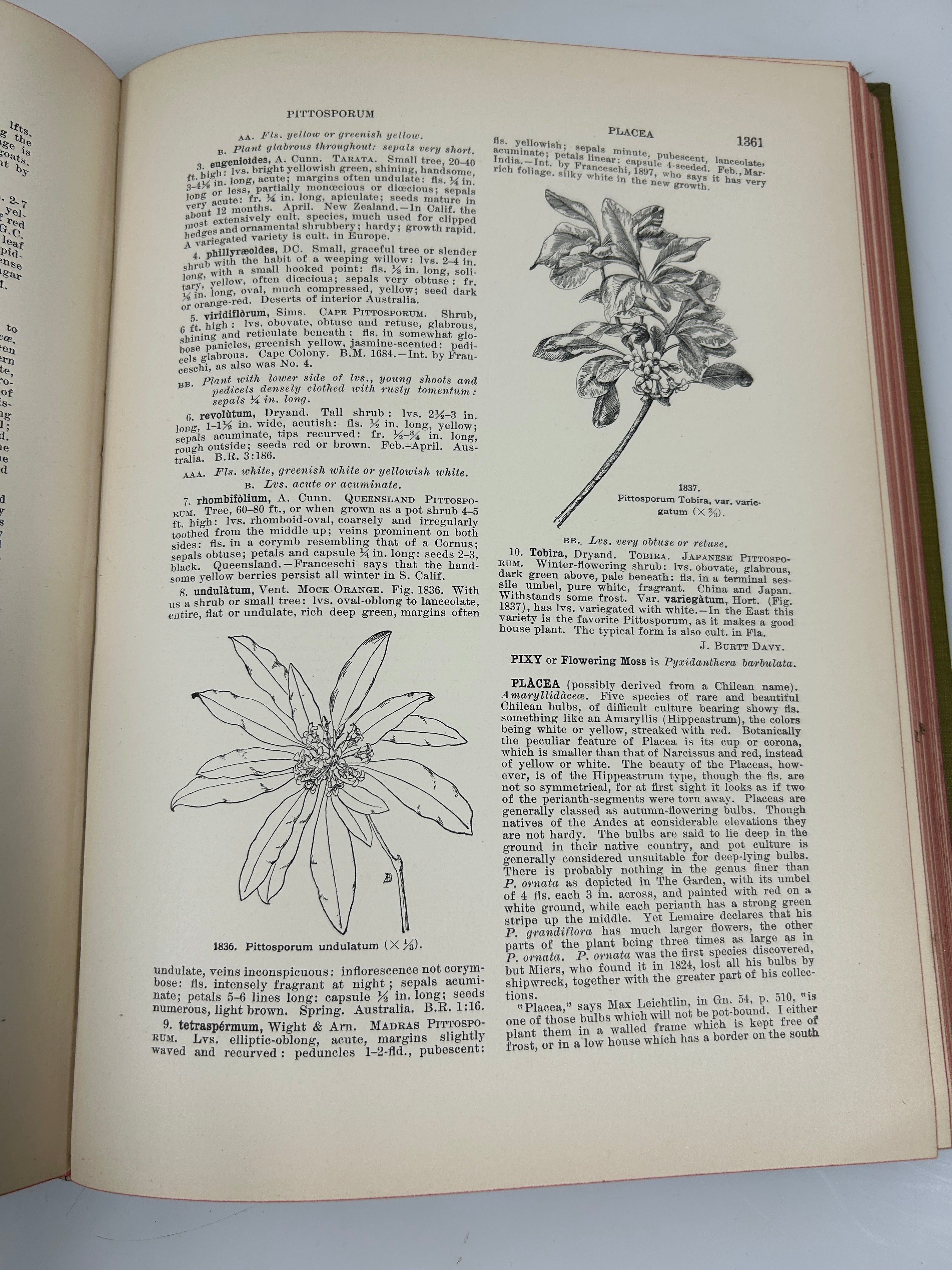 Lot of 3: Cyclopedia of American Horticulture E-M, N-Q, R-Z Bailey HC 1910