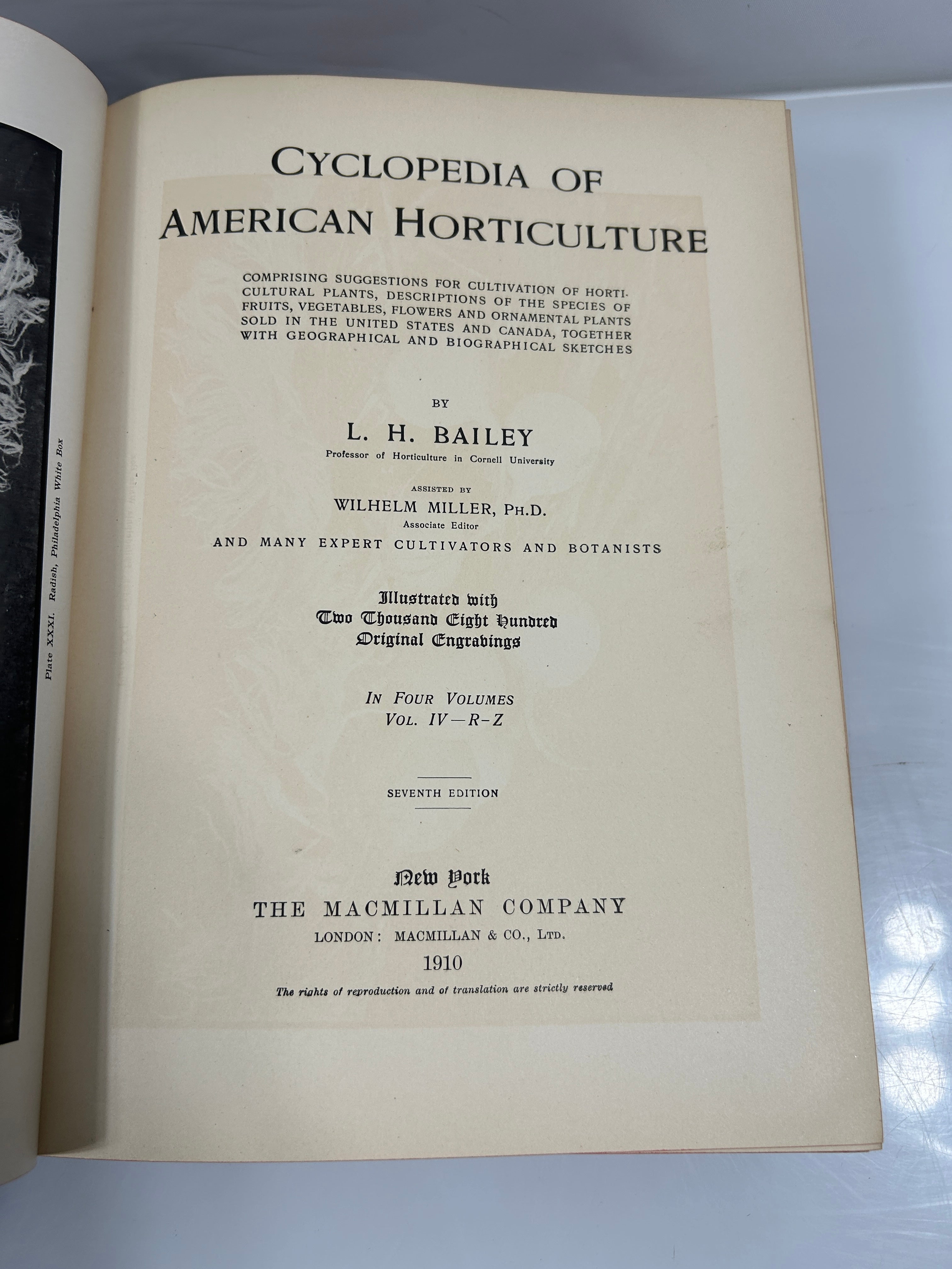 Lot of 3: Cyclopedia of American Horticulture E-M, N-Q, R-Z Bailey HC 1910