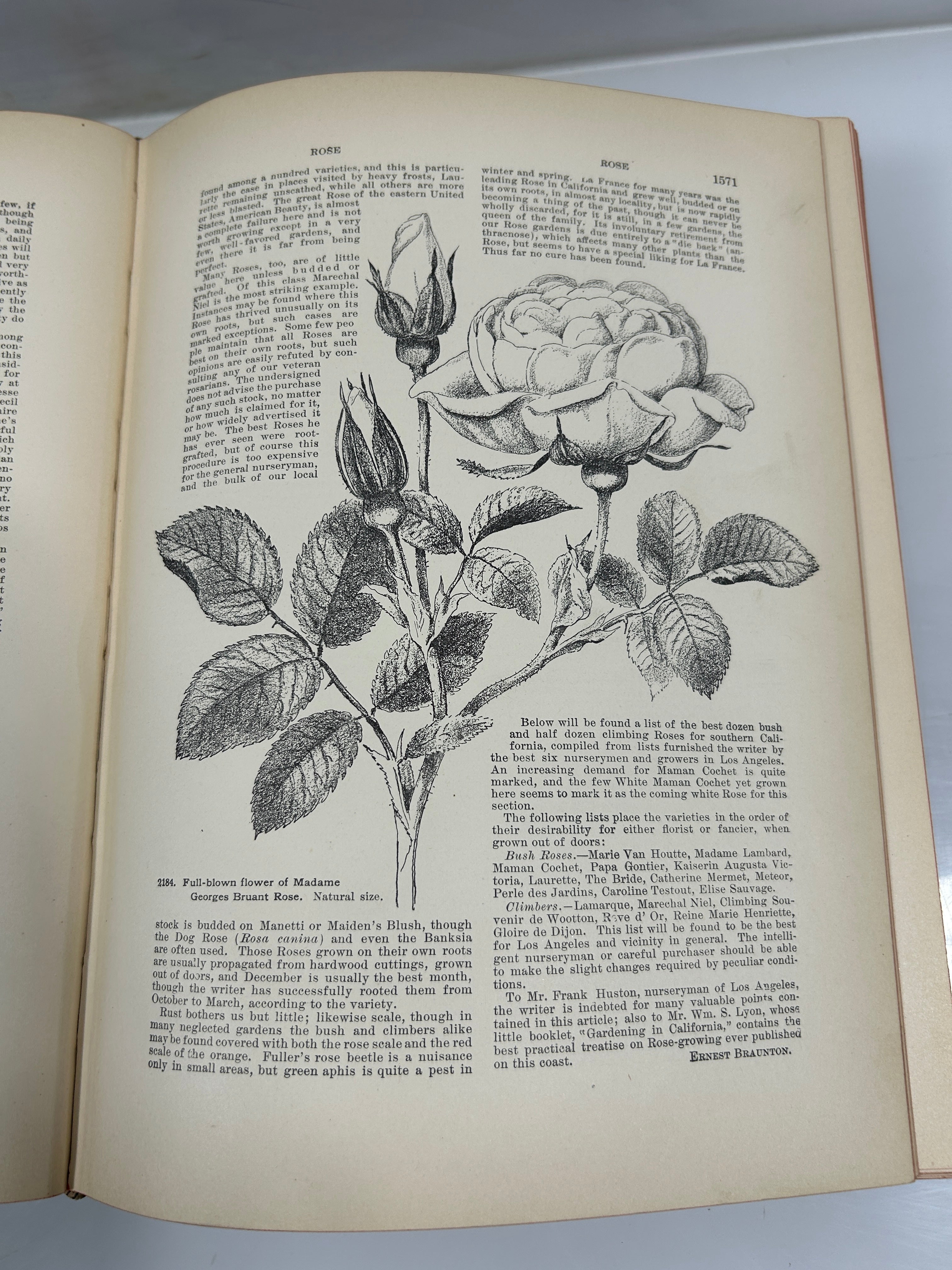 Lot of 3: Cyclopedia of American Horticulture E-M, N-Q, R-Z Bailey HC 1910