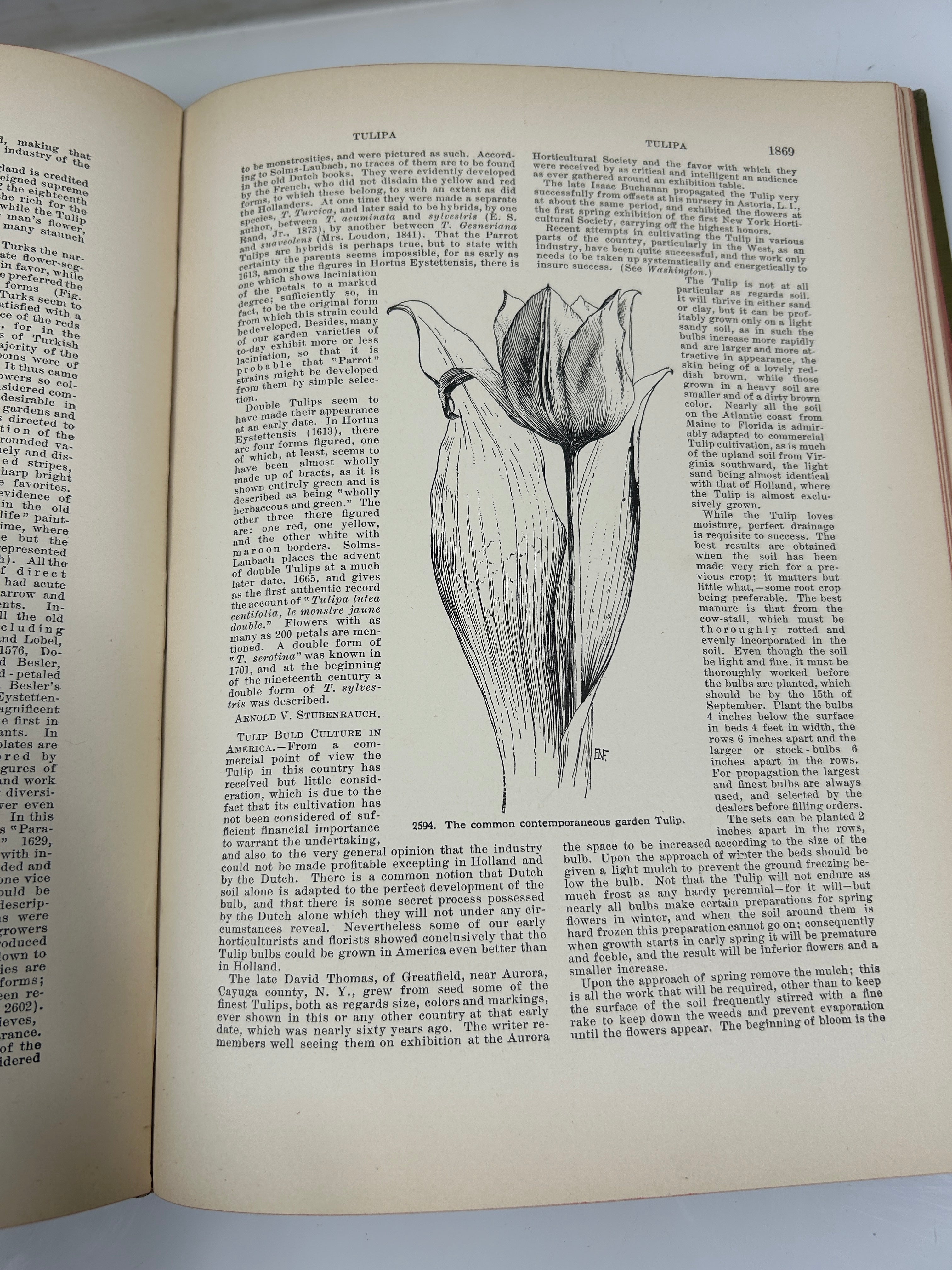 Lot of 3: Cyclopedia of American Horticulture E-M, N-Q, R-Z Bailey HC 1910