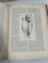 Lot of 3: Cyclopedia of American Horticulture E-M, N-Q, R-Z Bailey HC 1910
