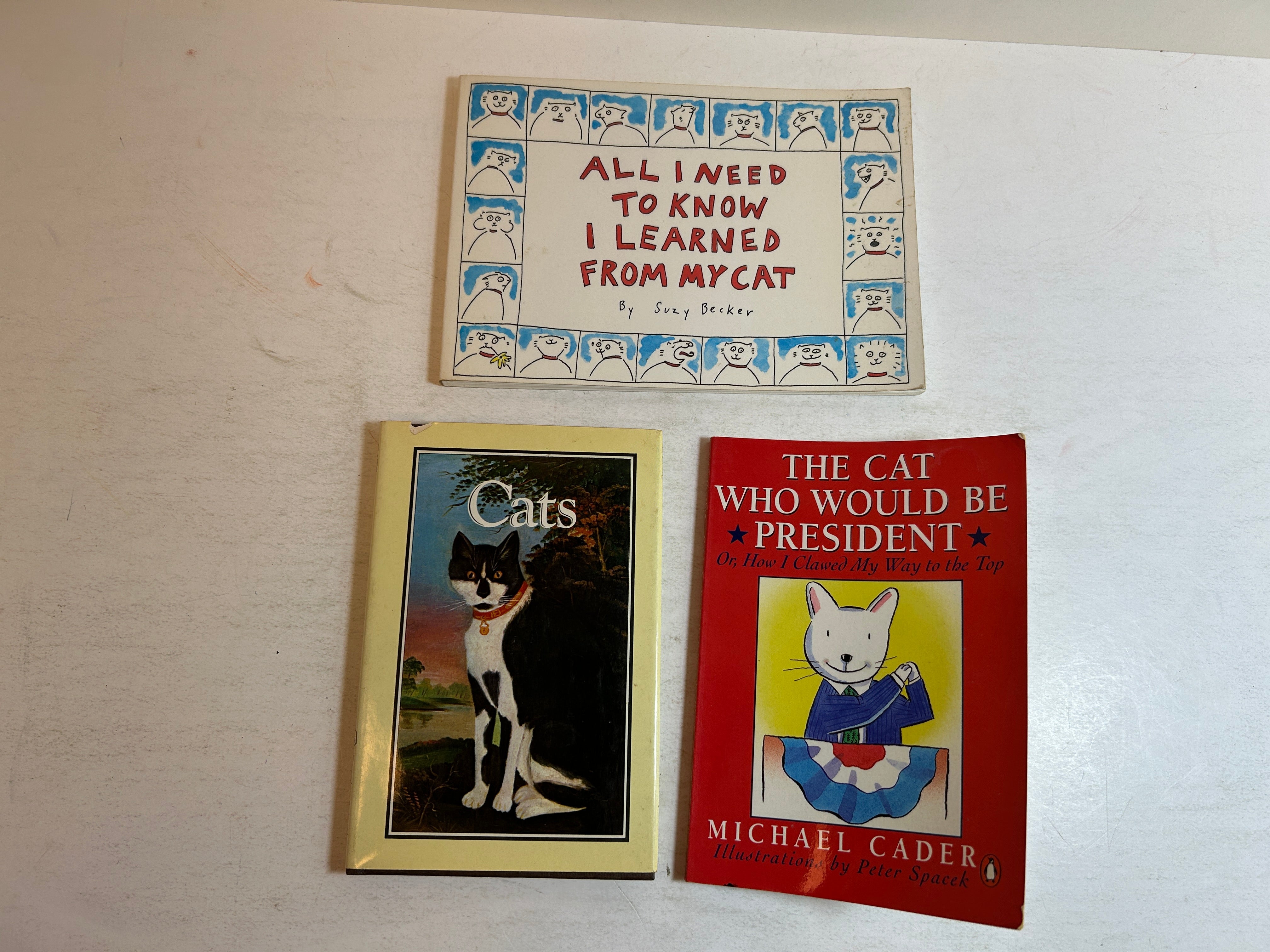 Lot of 3 Fiction Books About Cats