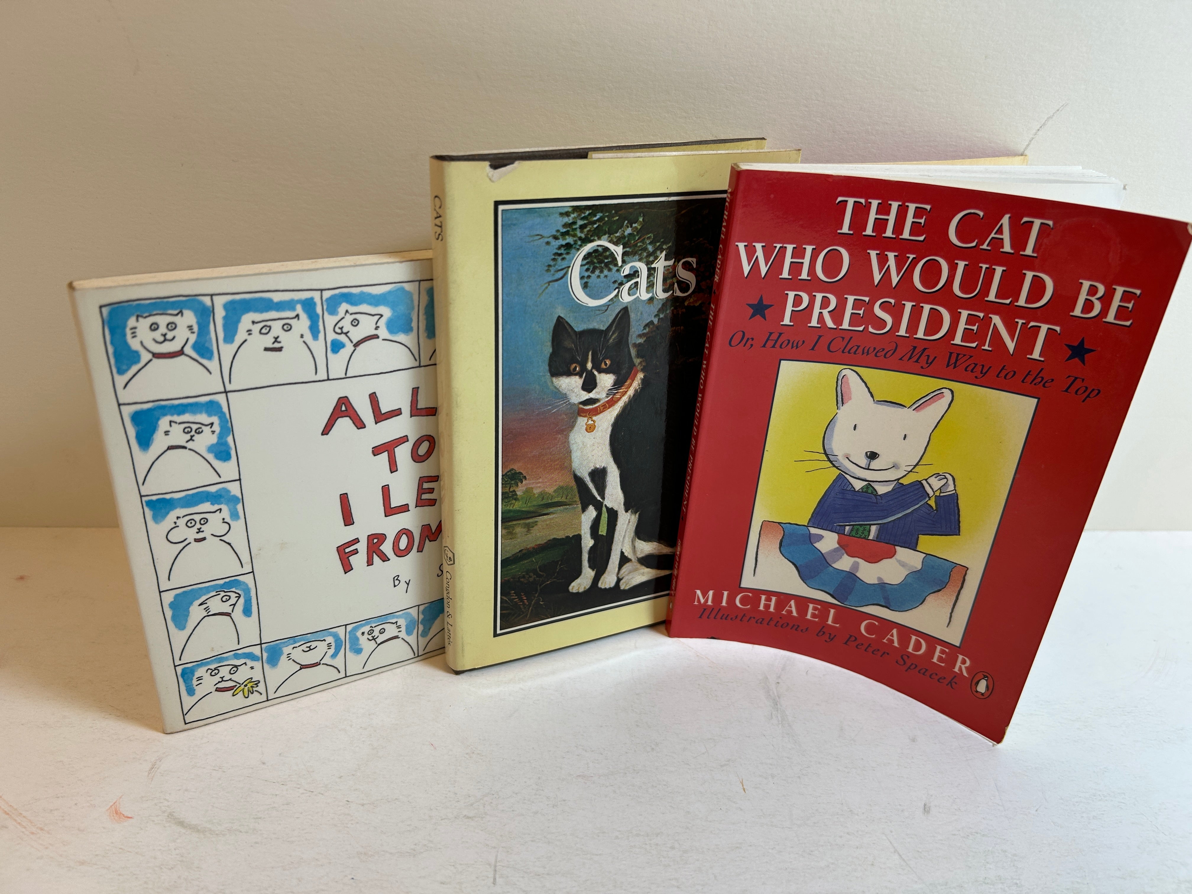 Lot of 3 Fiction Books About Cats