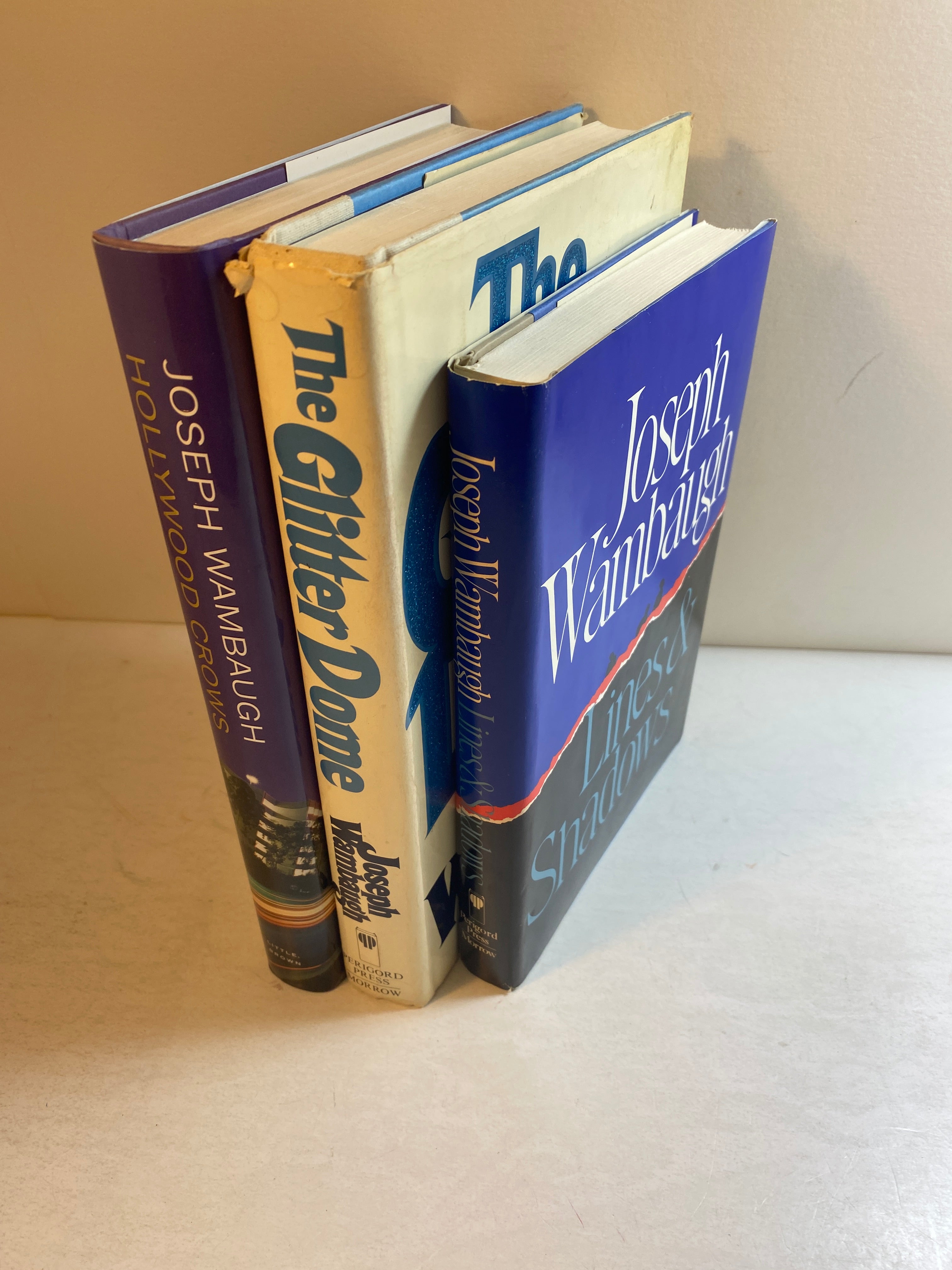 Lot of 3 Joseph Wambaugh Books 1981-2008 HCDJ