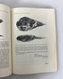 Lot of 3 Vintage Archaeology Books by Taylor/Heizer/Deetz 1967-71 SC
