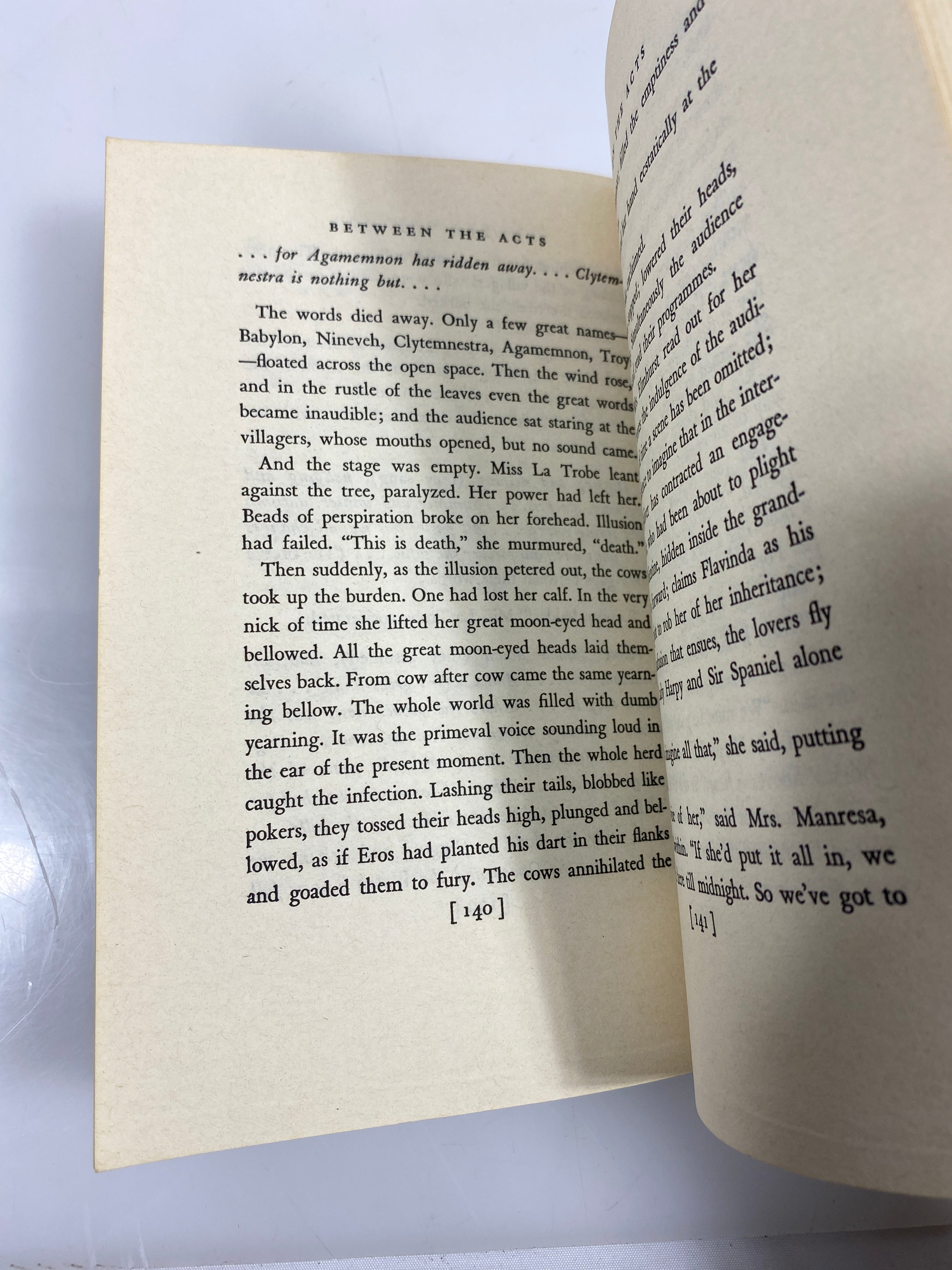 Lot of 4 1960's Virginia Woolf Paperbacks