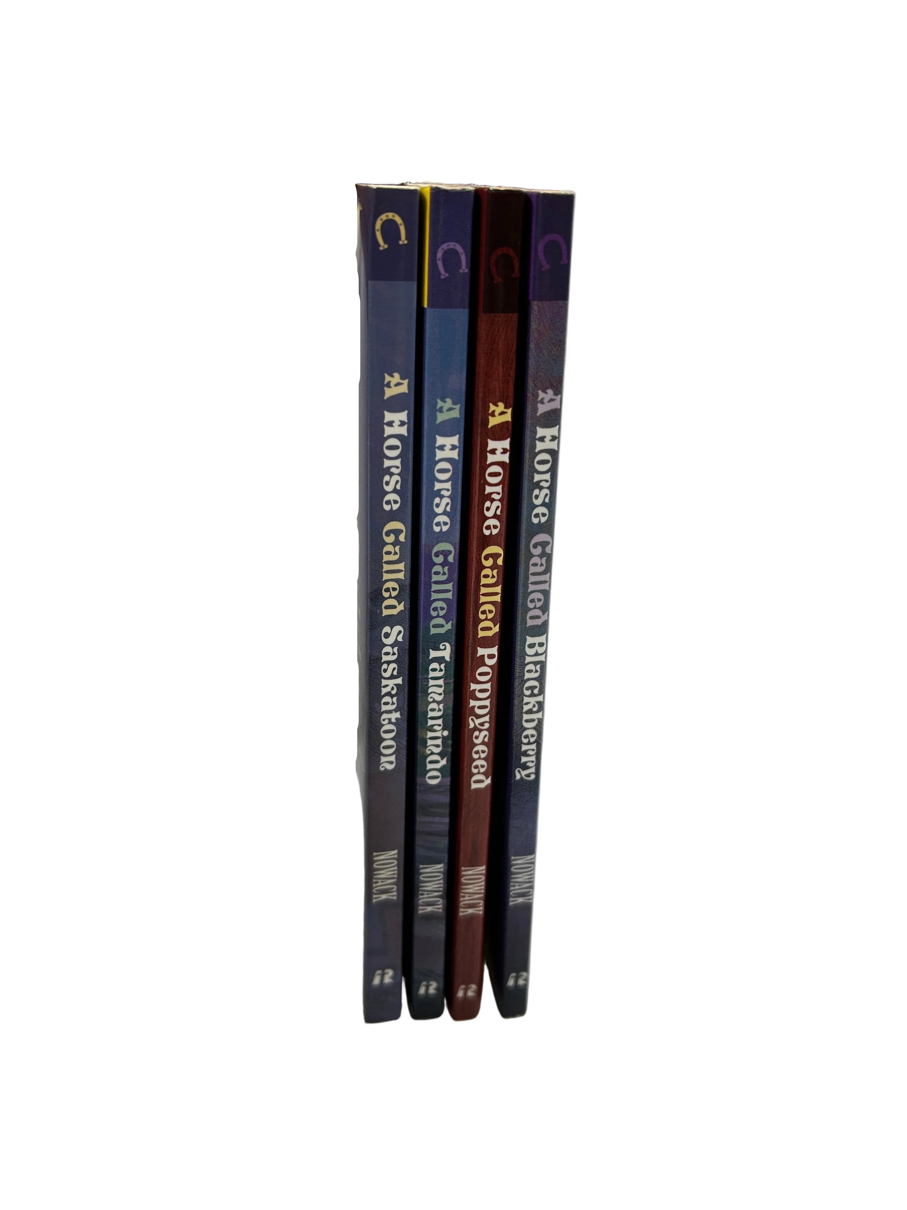 Lot of 4 A Horse Called ___ Books by JoAnne Chitwood Nowack SC