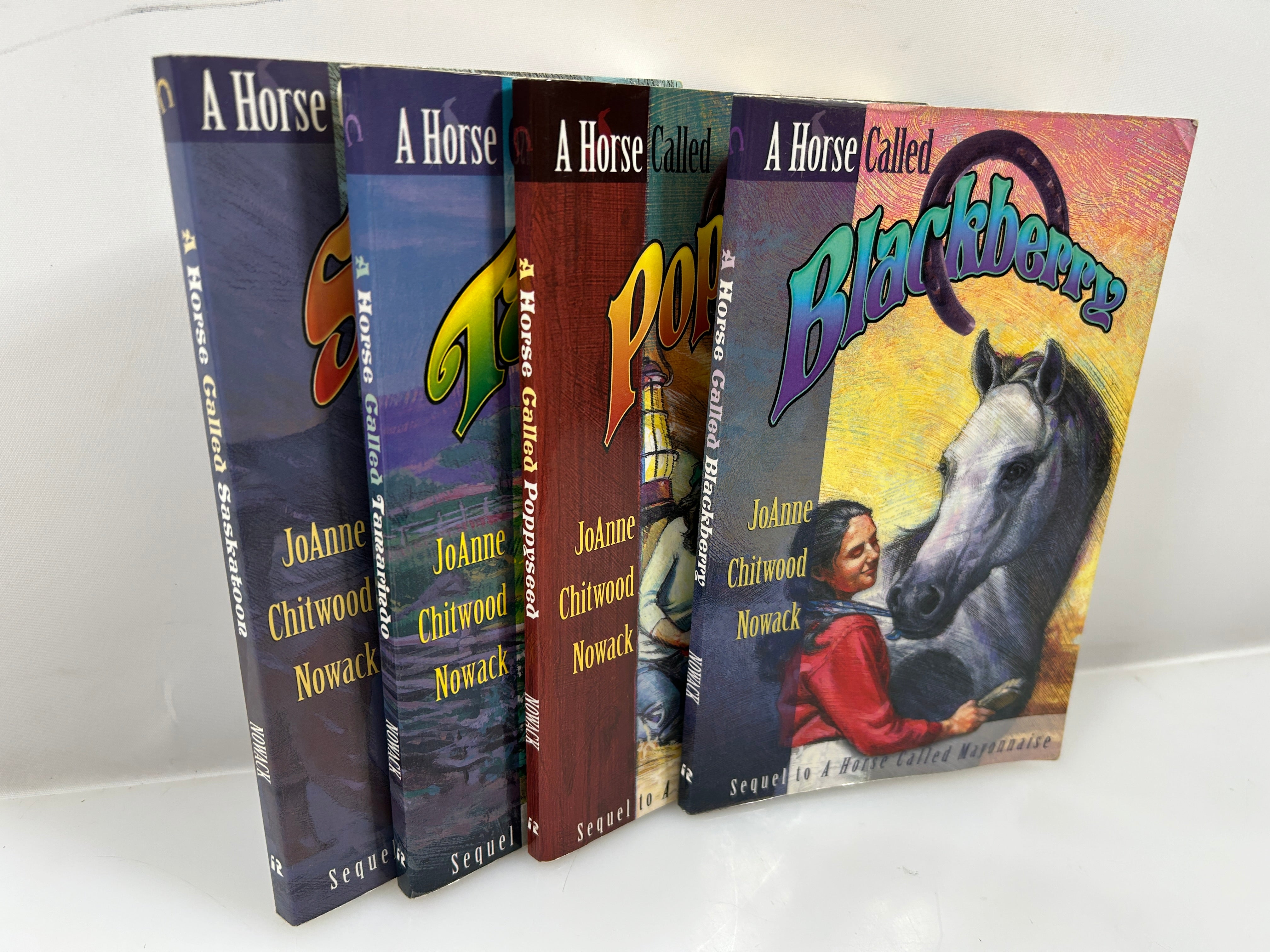 Lot of 4 A Horse Called ___ Books by JoAnne Chitwood Nowack SC