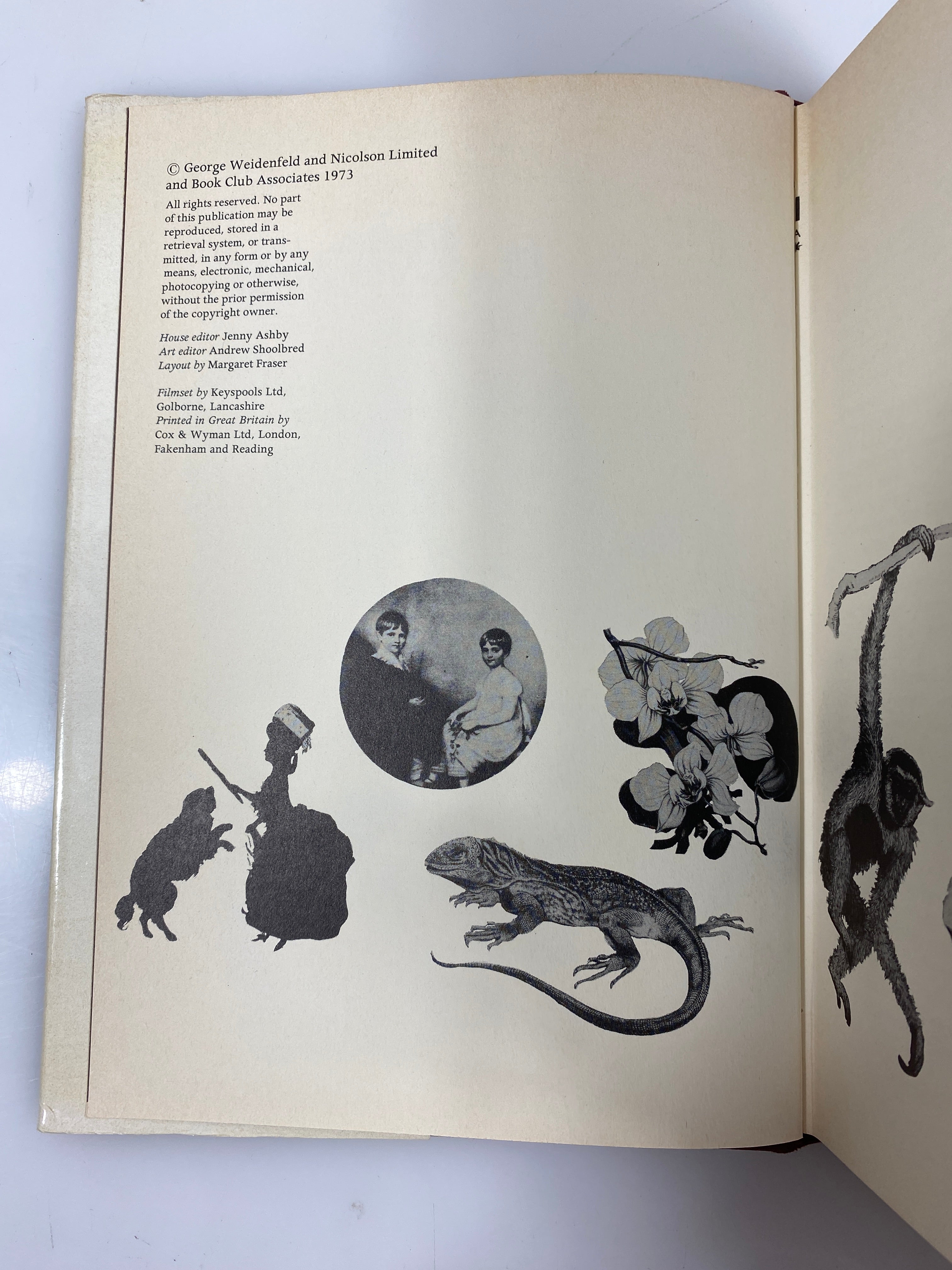 Lot of 4 Great Lives: Van Gogh/Francis Drake/Louis XIV/Charles Darwin 1973-74