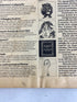 Lot of 4 Upper and Lower Case Magazine (1976) Complete