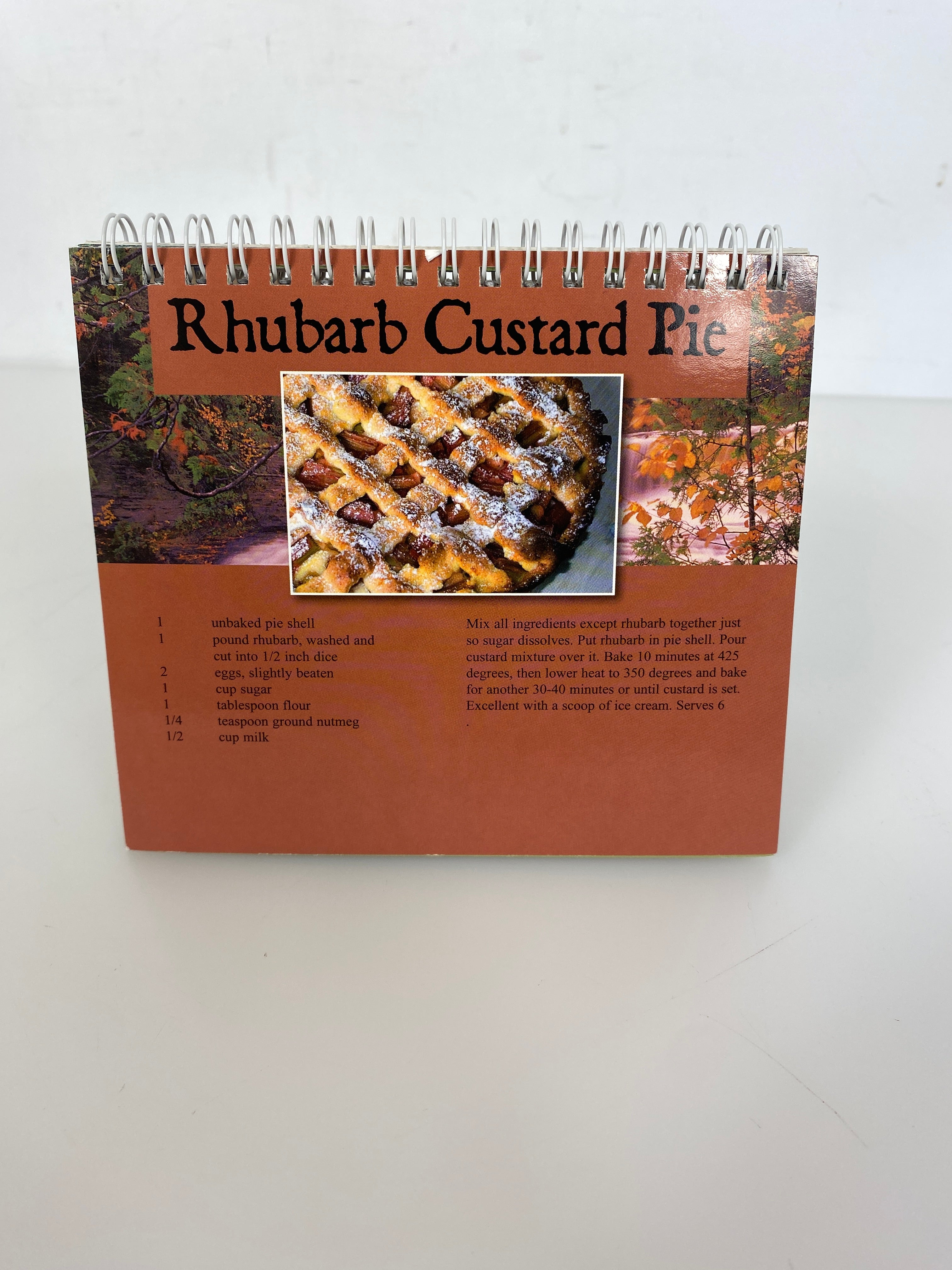 Lot of 4 Vintage Spiral-Bound Cookbooks Yooper Recipes/Cookies/Steelcase Chefs