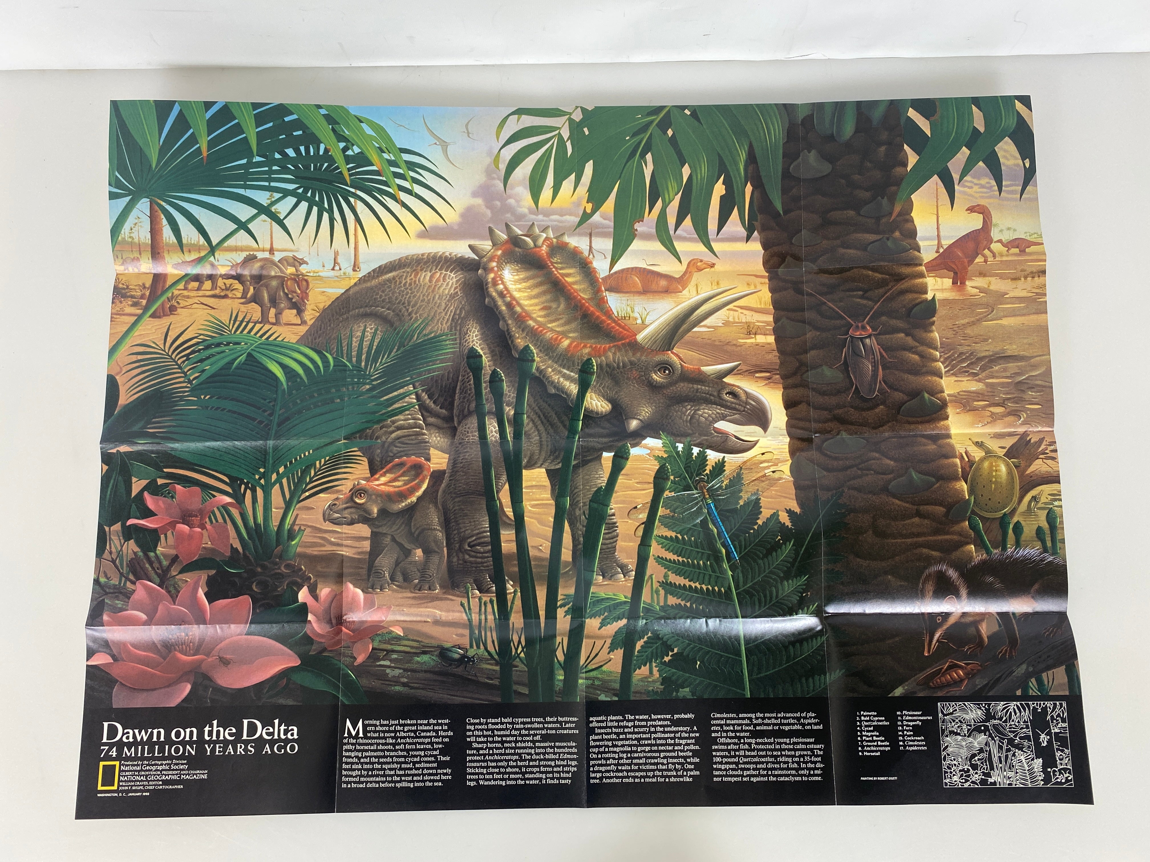 Lot of 4Posters Age of Dinosaurs/Toward Extinction/Physical Earth/Dawn of Humans