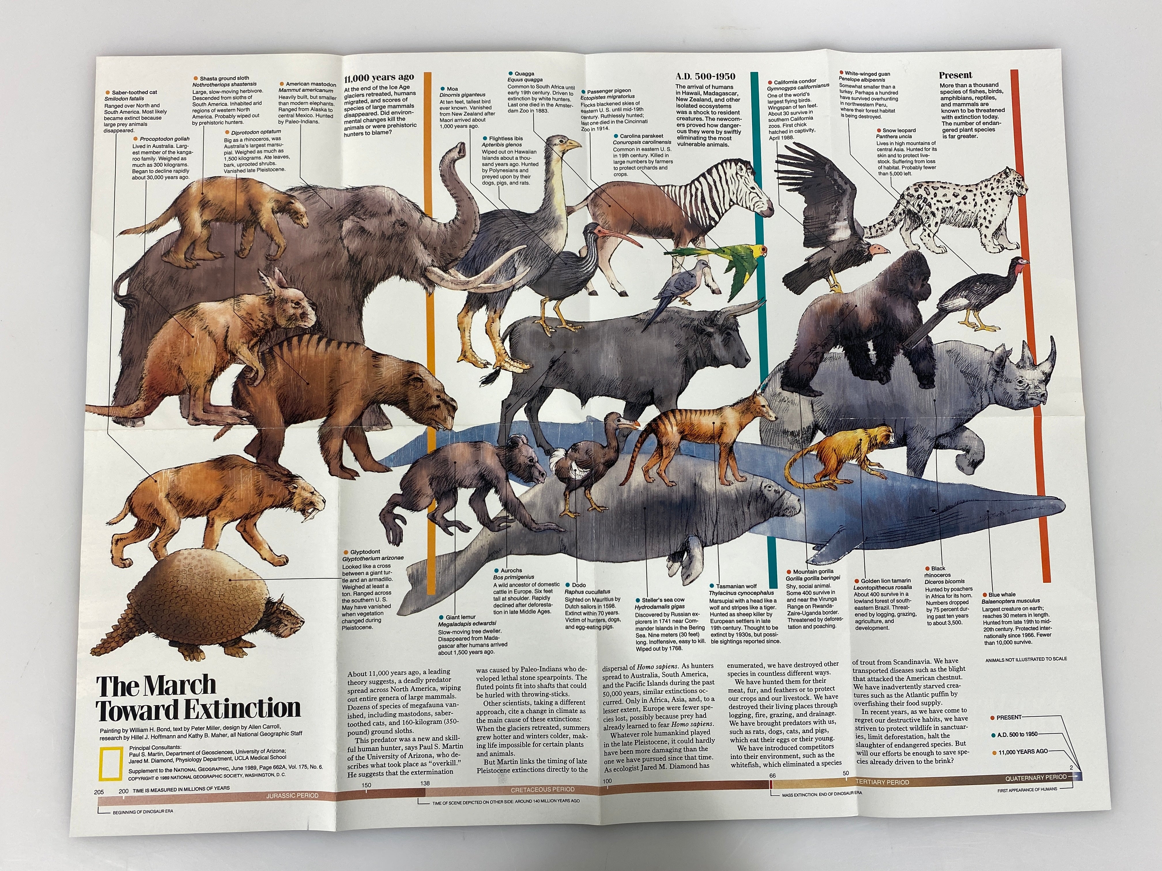 Lot of 4Posters Age of Dinosaurs/Toward Extinction/Physical Earth/Dawn of Humans