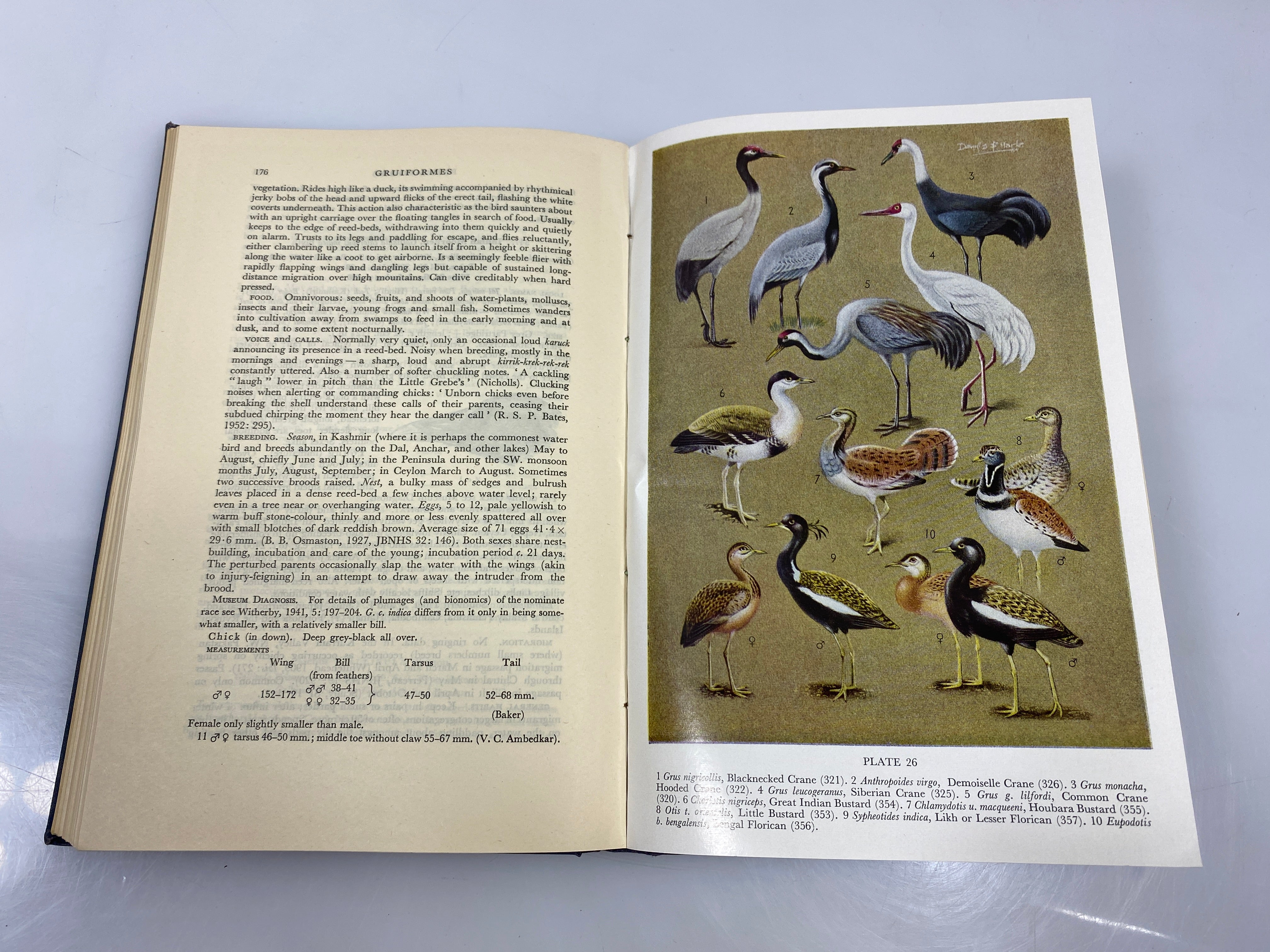 Lot of 5: Handbook of Birds of India and Pakistan 2-6 Ali/Ripley Ex-library HC