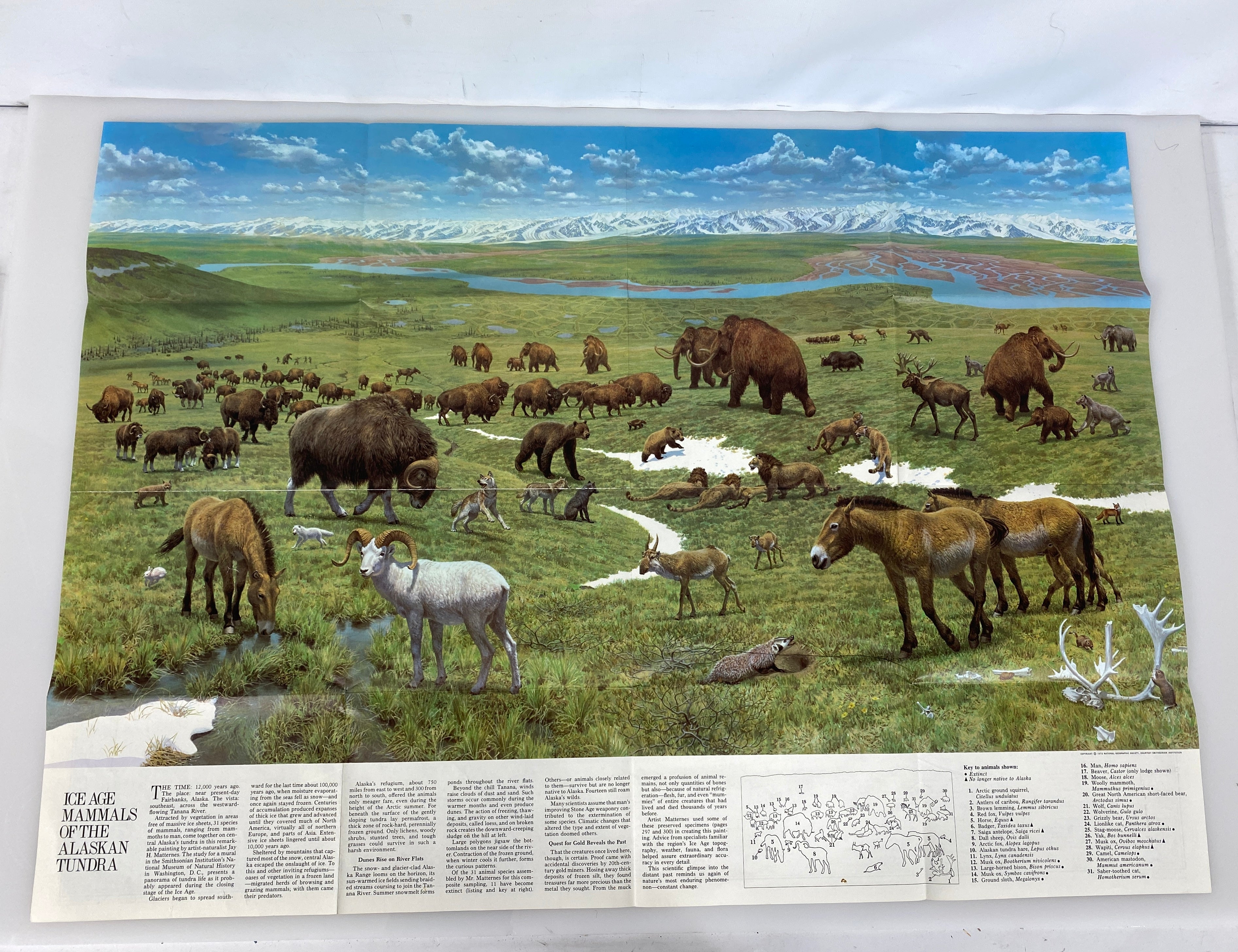 Lot of 5 Vintage Nat Geo Canada Maps: Close-Up Canada/Canada AK & Greenland