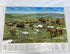 Lot of 5 Vintage Nat Geo Canada Maps: Close-Up Canada/Canada AK & Greenland