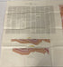 Lot of 5 Vintage US Geological Maps Georgia/Tennessee/Kentucky/Arkansas