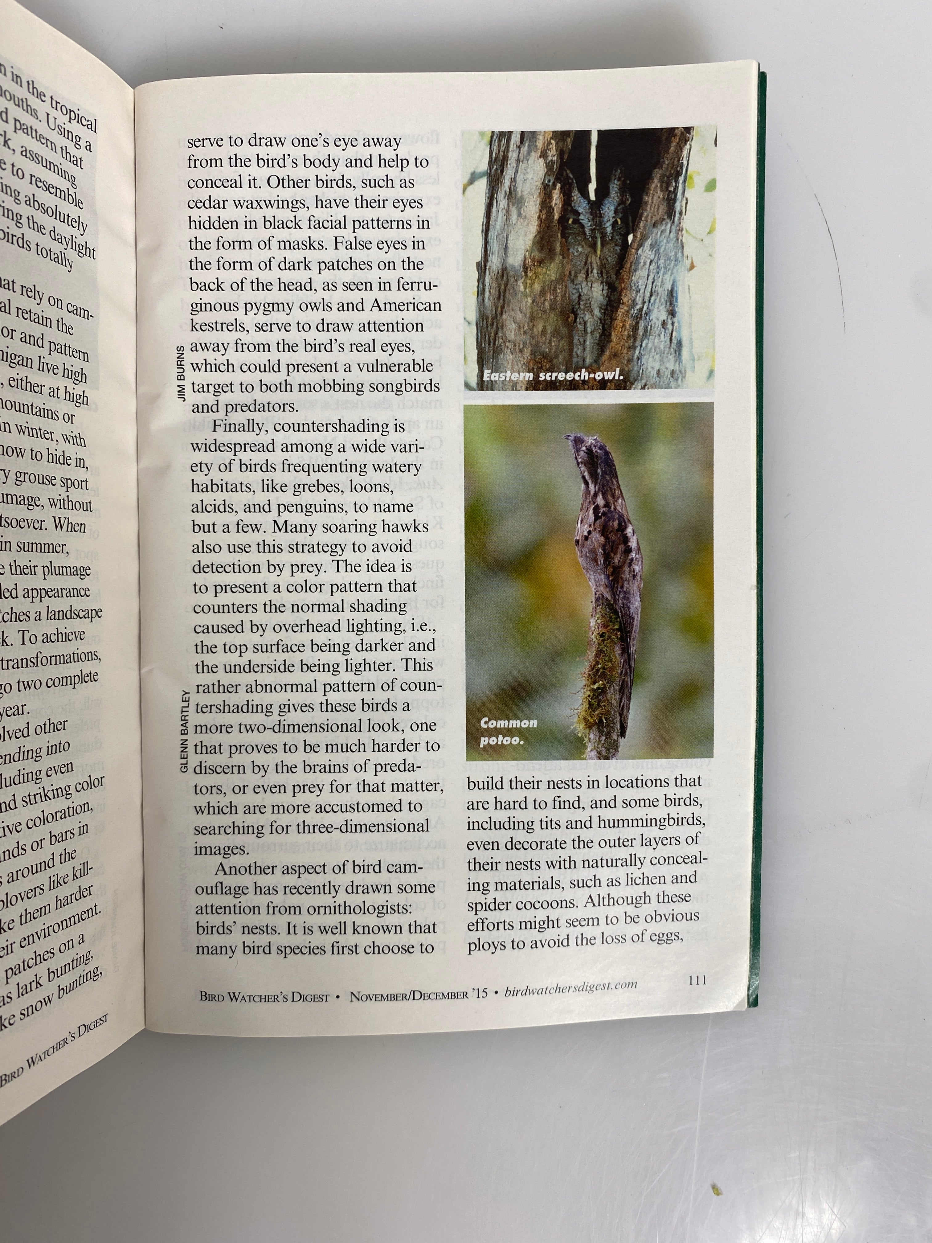 Lot of 6: Bird Watchers Digest Complete 2015 Set