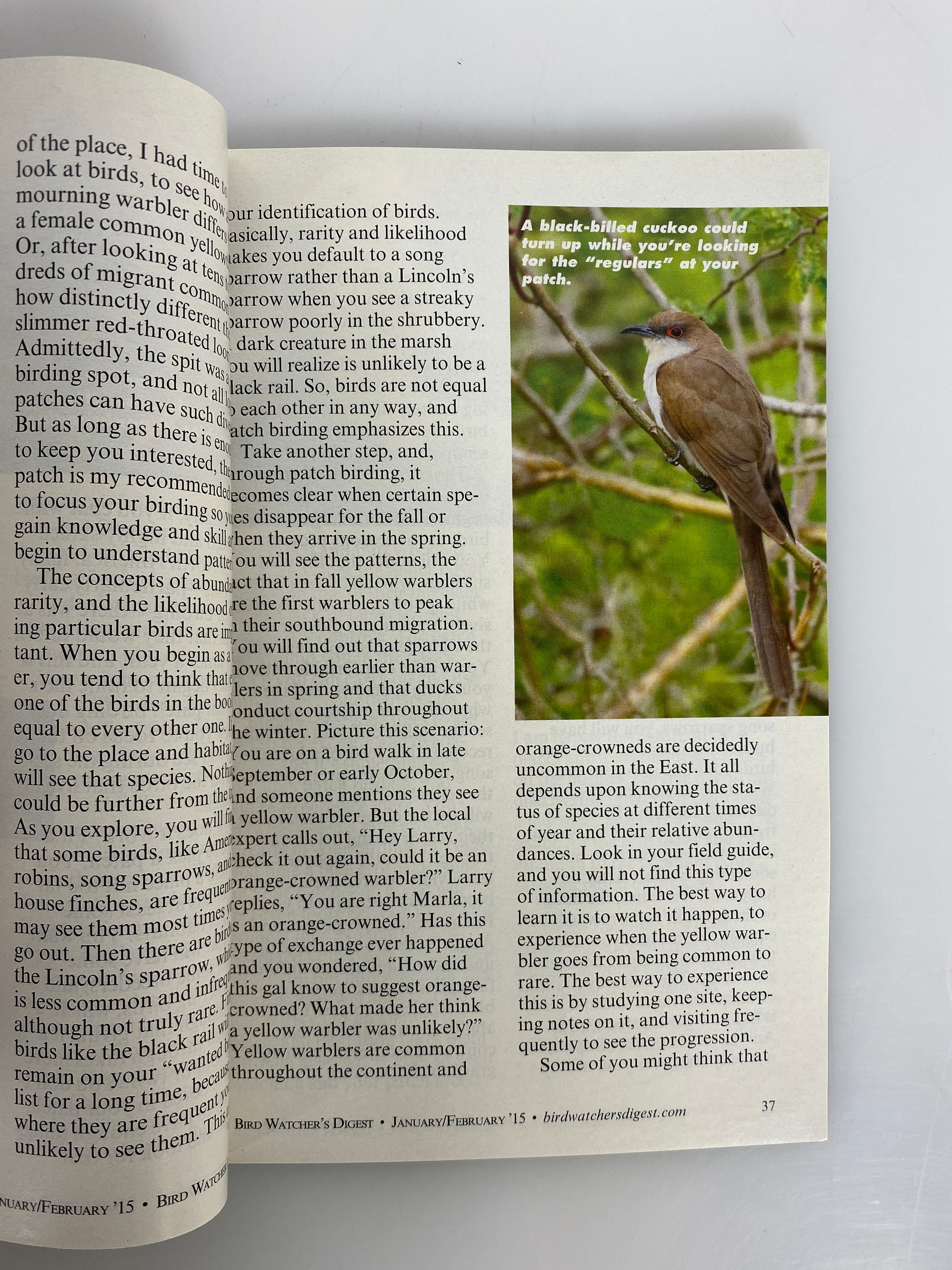 Lot of 6: Bird Watchers Digest Complete 2015 Set