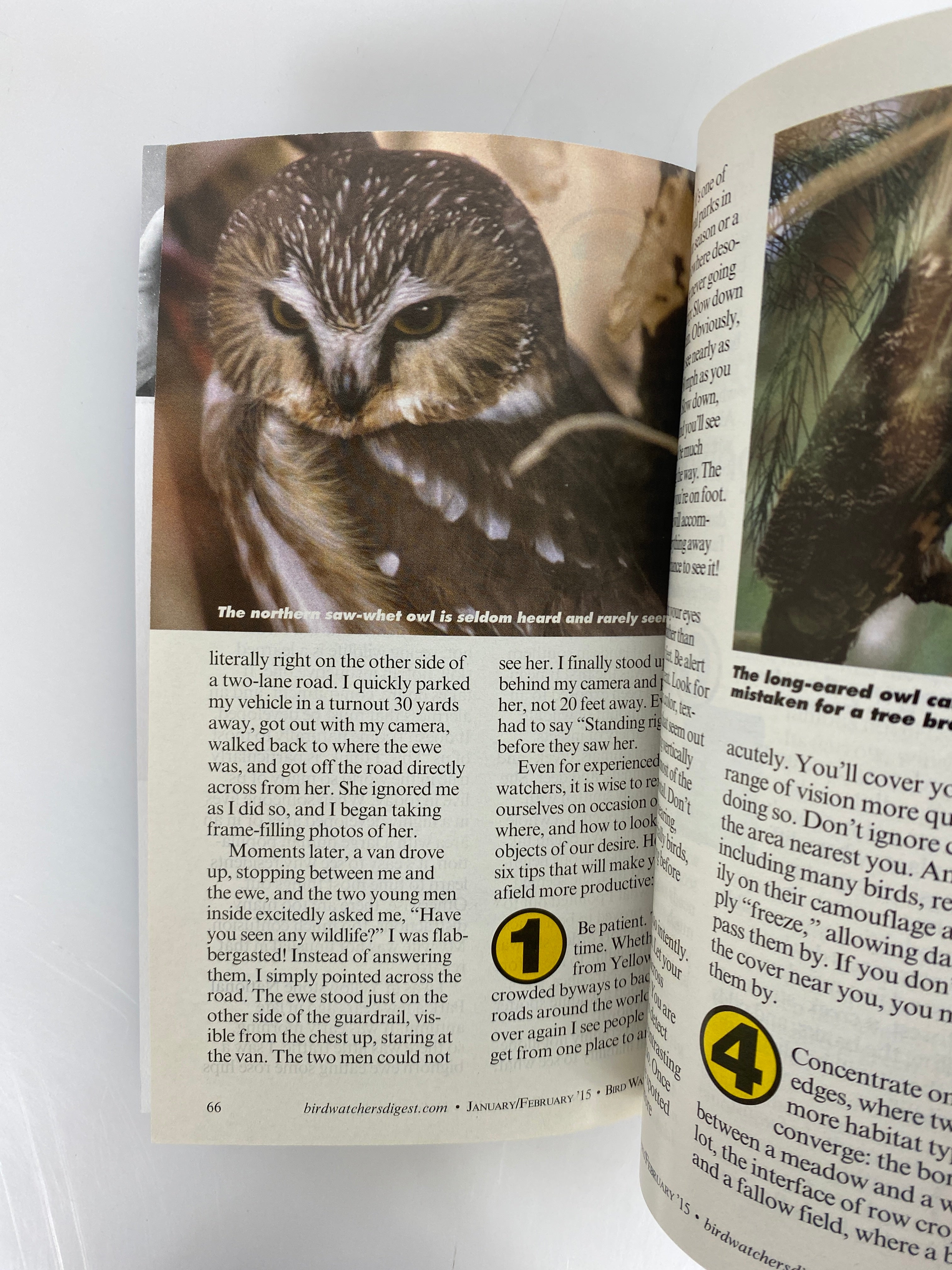 Lot of 6: Bird Watchers Digest Complete 2015 Set