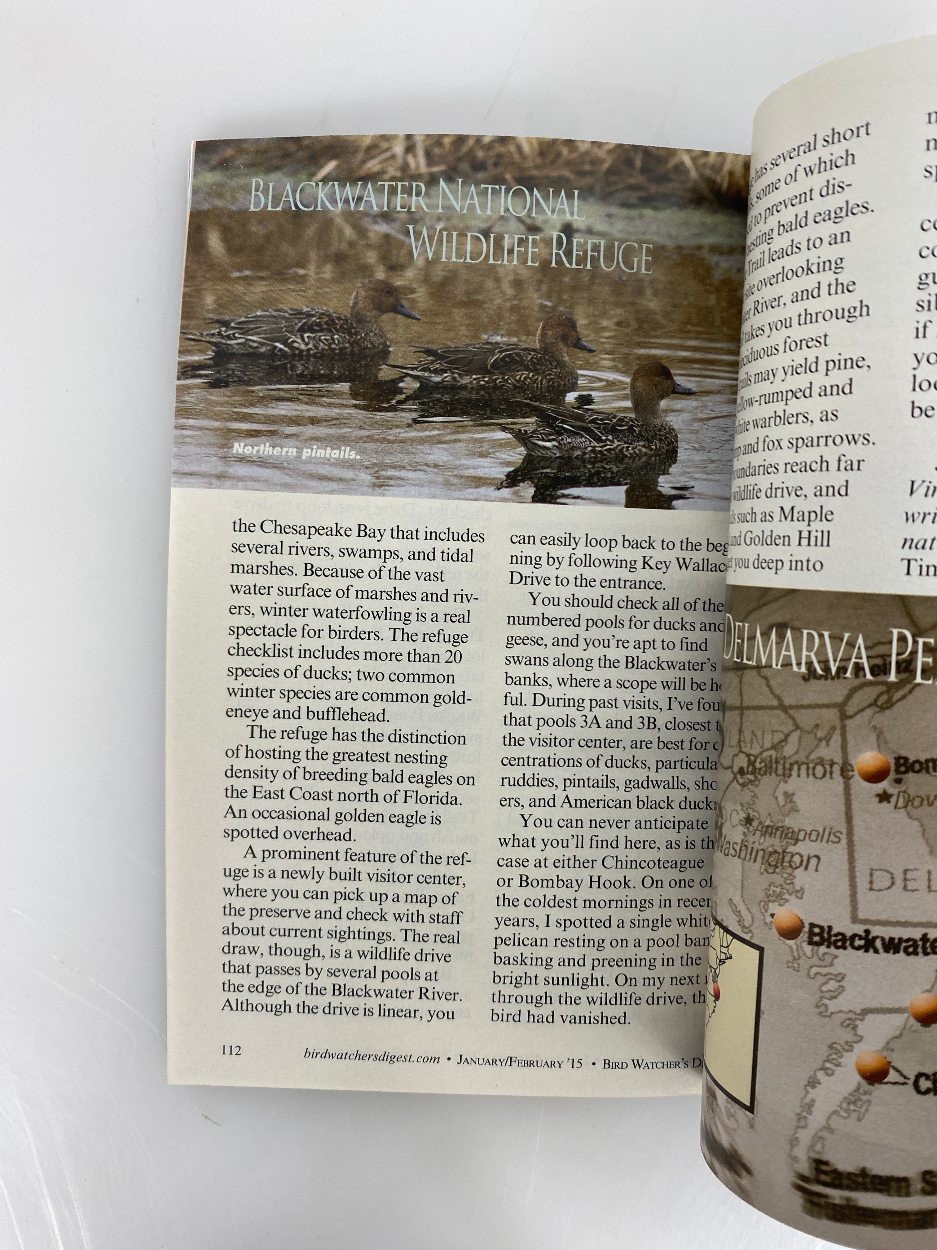 Lot of 6: Bird Watchers Digest Complete 2015 Set