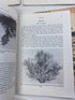 Lot of 6 MSU Agricultural Experiment Station Research Bulletins 1938-1956