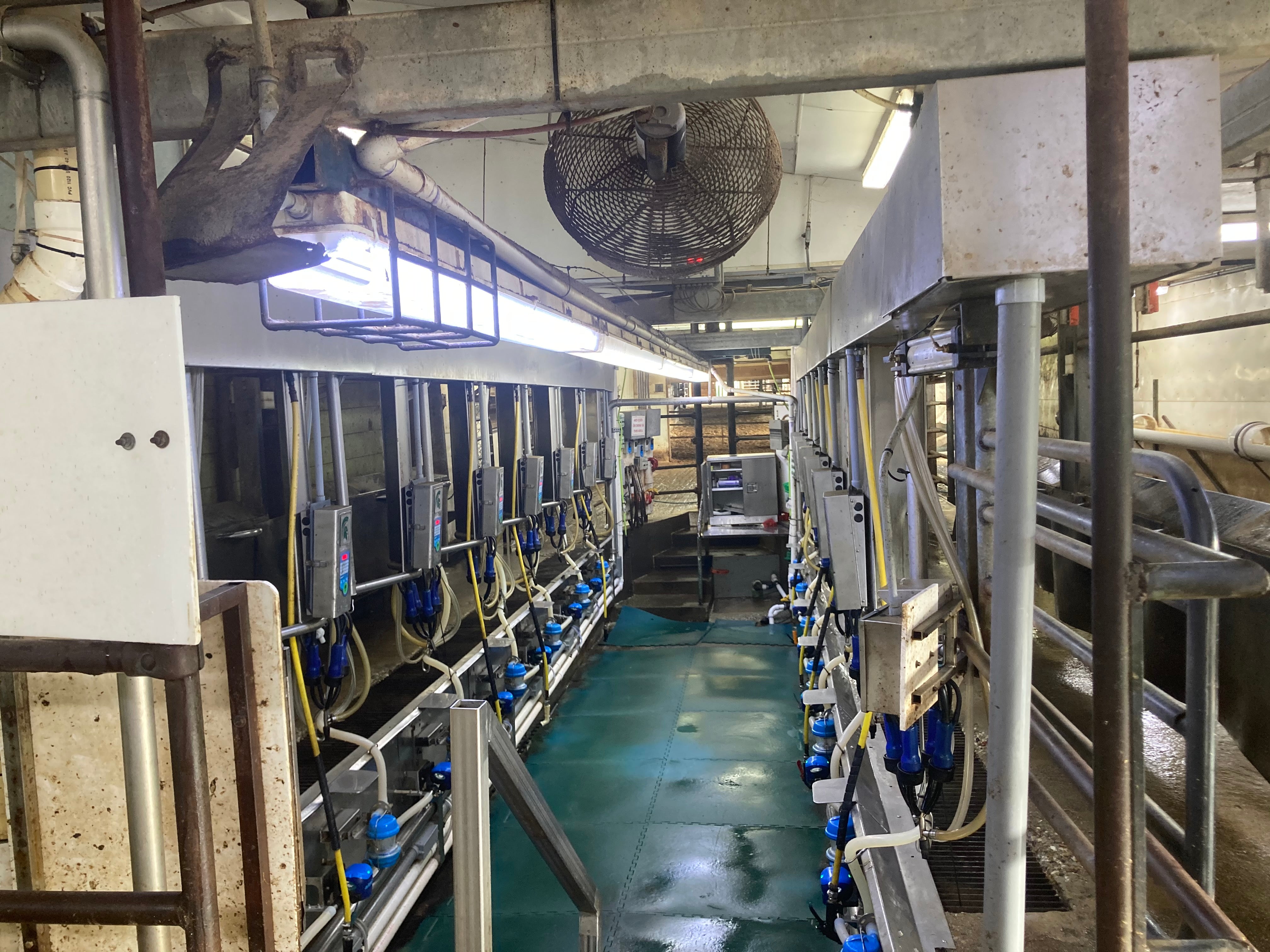 Lot of Milking Parlor Items