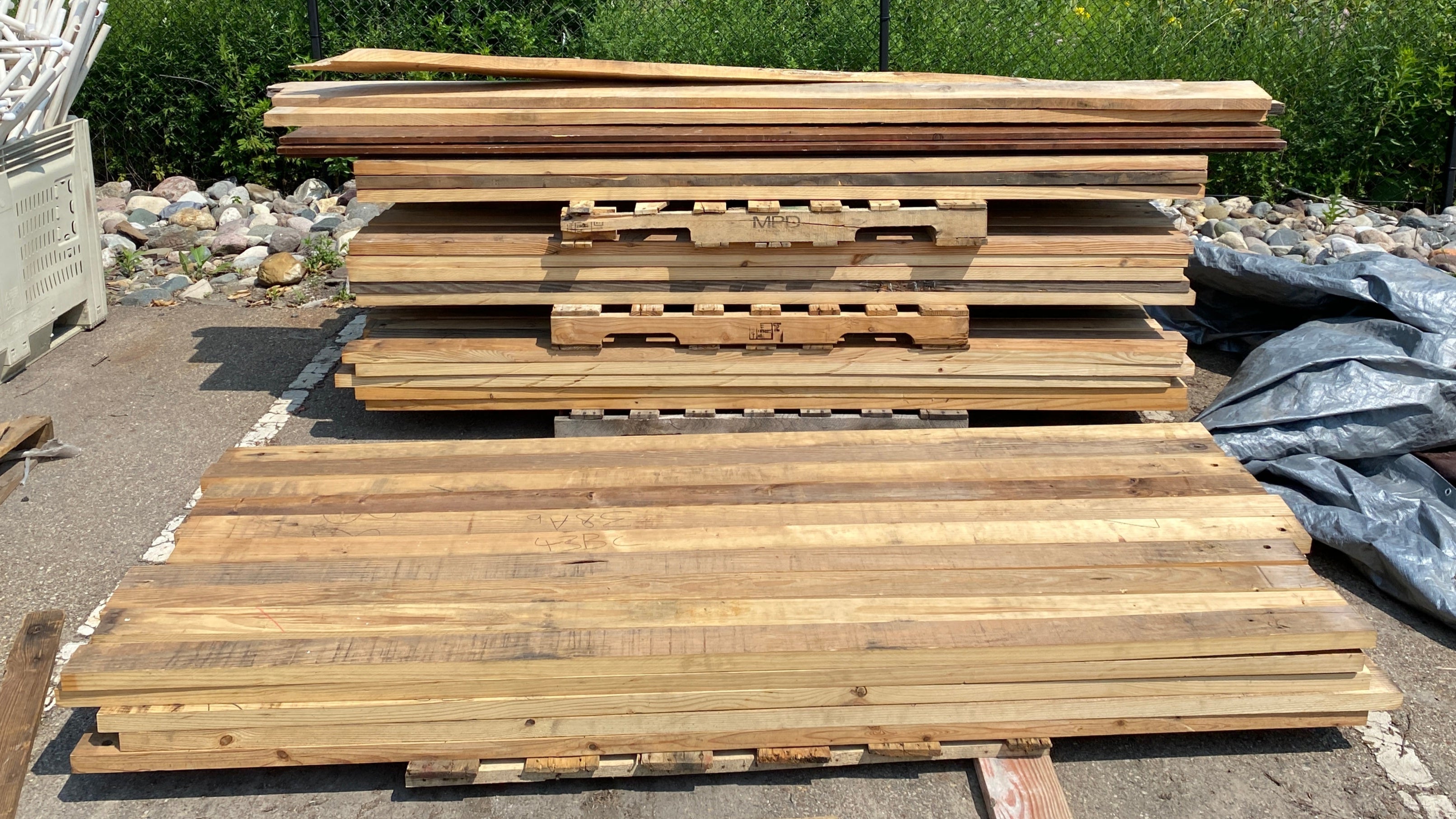 Lot of Old Growth Stacked Lumber