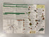 Lot of Vintage Maps: Spain & Portugal/Italy/Historic Mediterranean