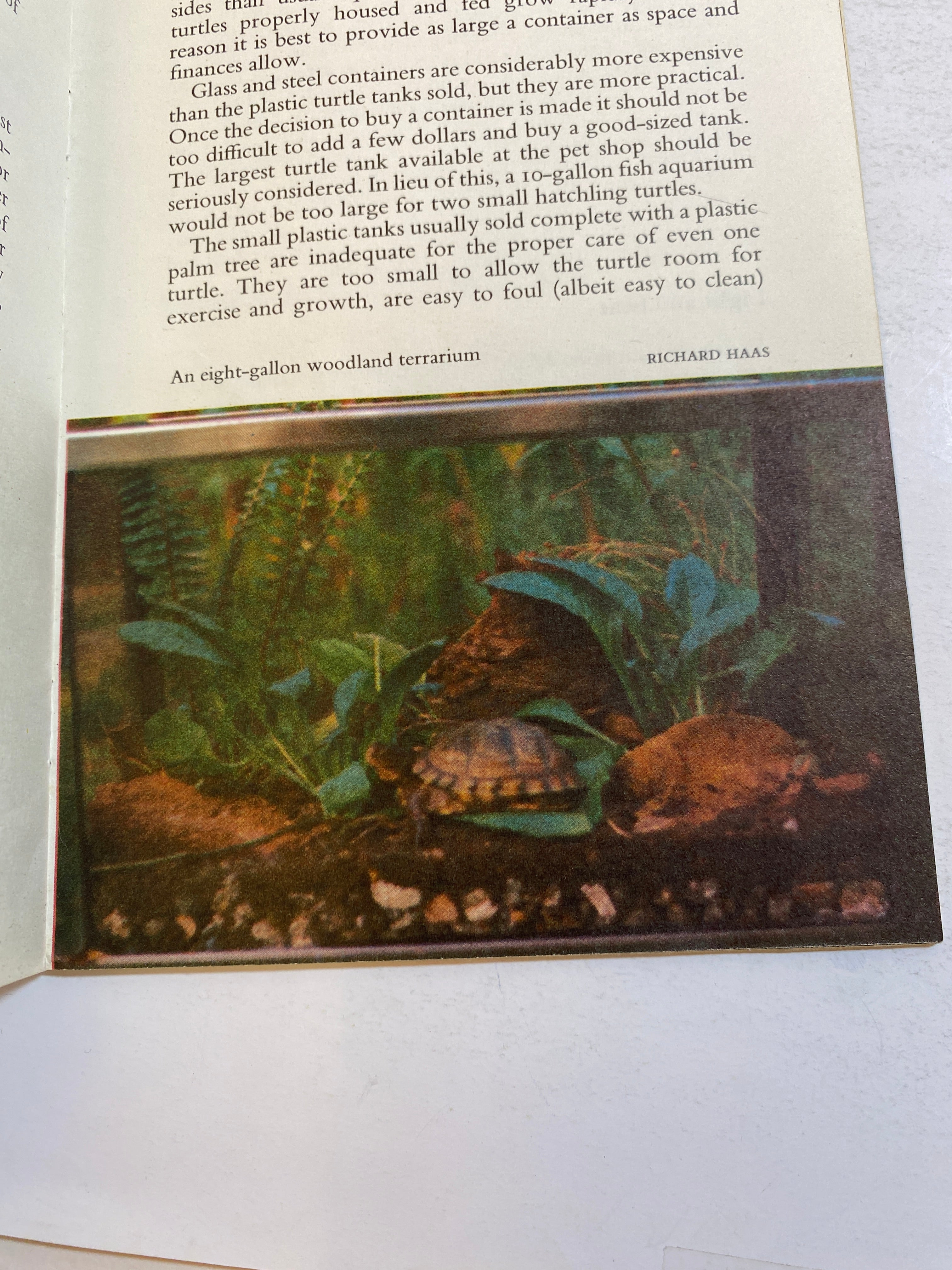 Lot of Vintage Pet Care Ephemera Enjoy Your Turtle Finch Aquarium 1960s